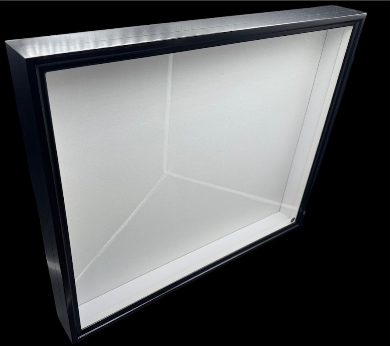 黒】バードウィング製 ドイツ型標本箱 大型BW60 UVカット仕様 | KPW