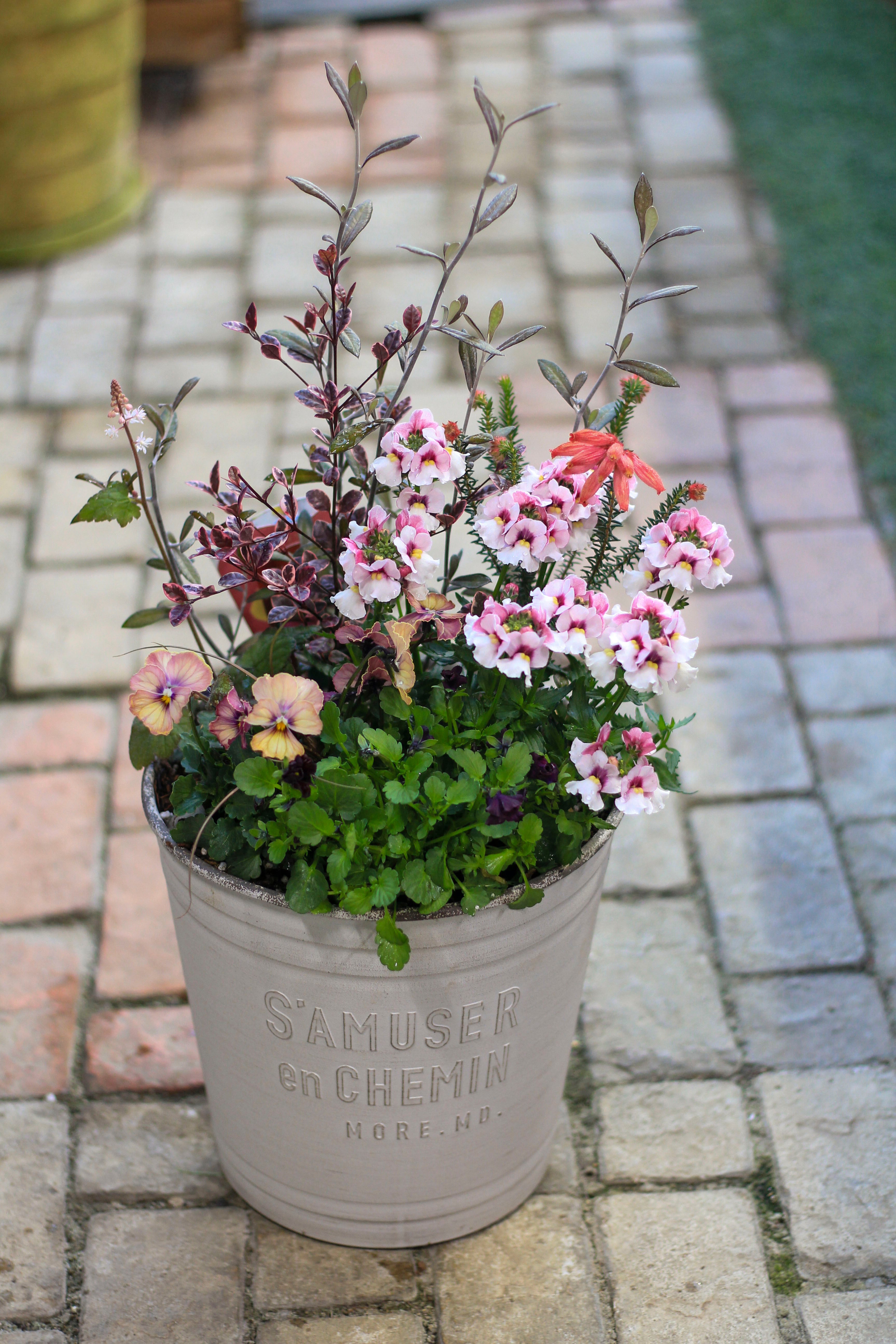 4152e219fcf455604c2fd27998f9b4