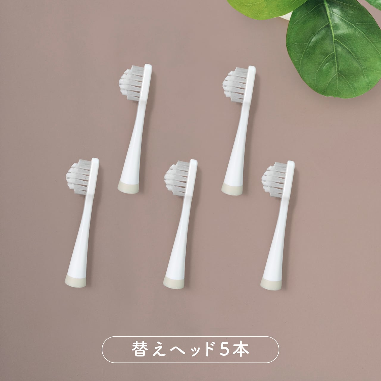 奇跡の歯ブラシ ソニック〉 交換用ヘッド5本 | kisekinohaburashi