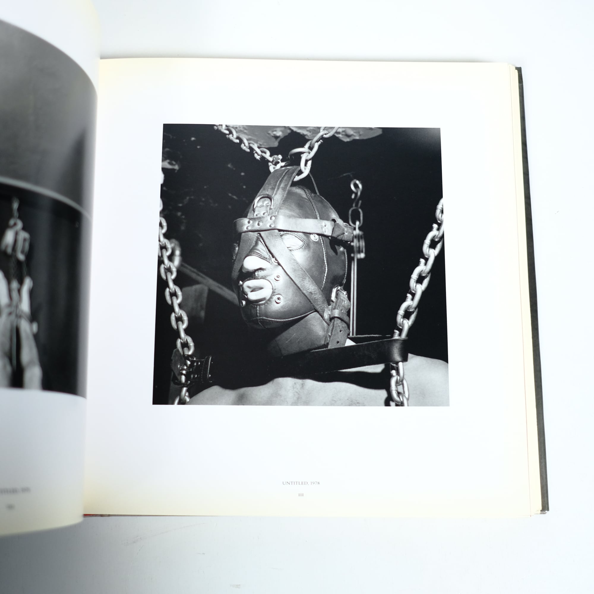 ROBERT MAPPLETHORPE 洋書 写真集 RANDOM HOUSE | Pay ID