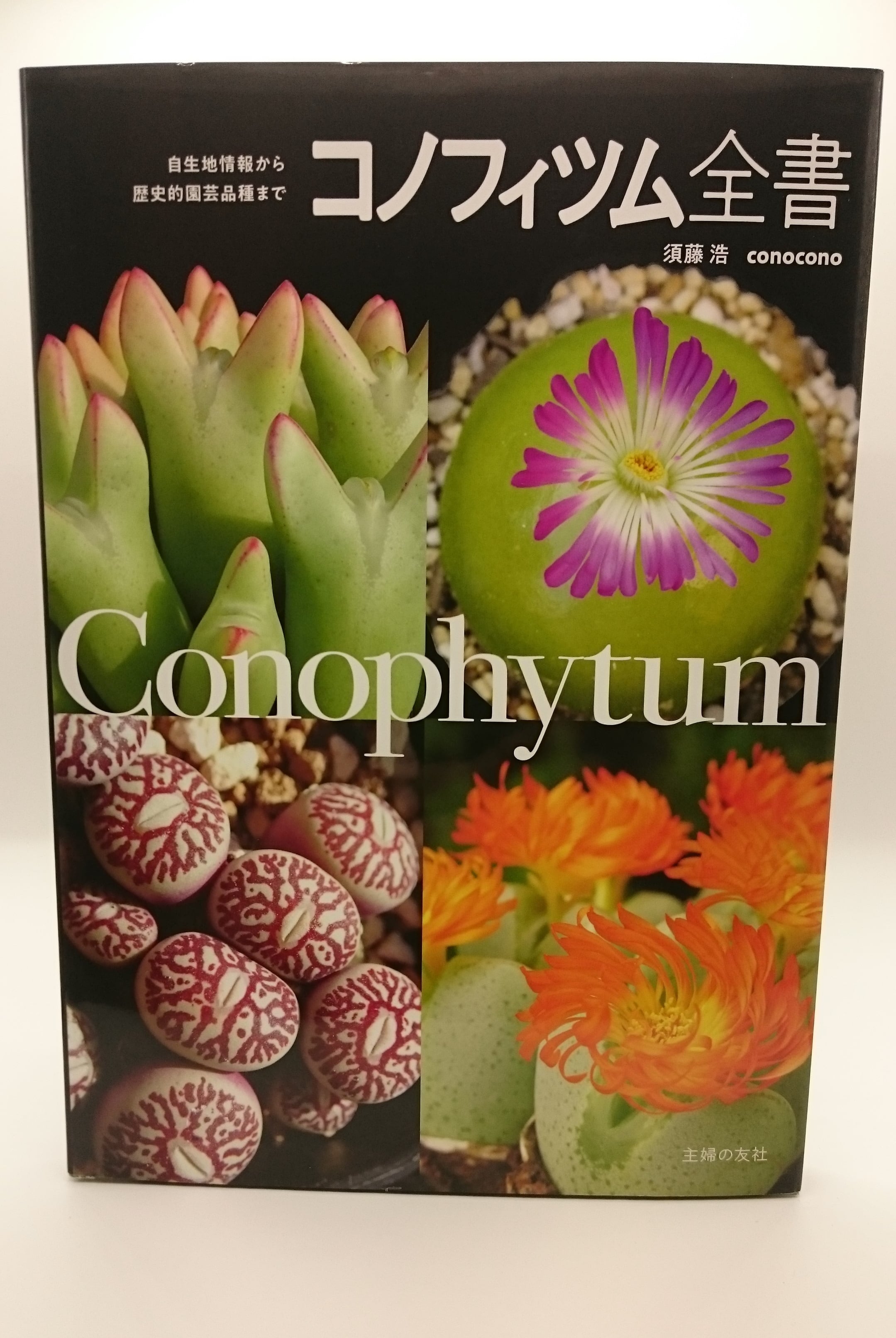 コノフィツム全書 | 弥生坂 緑の本棚