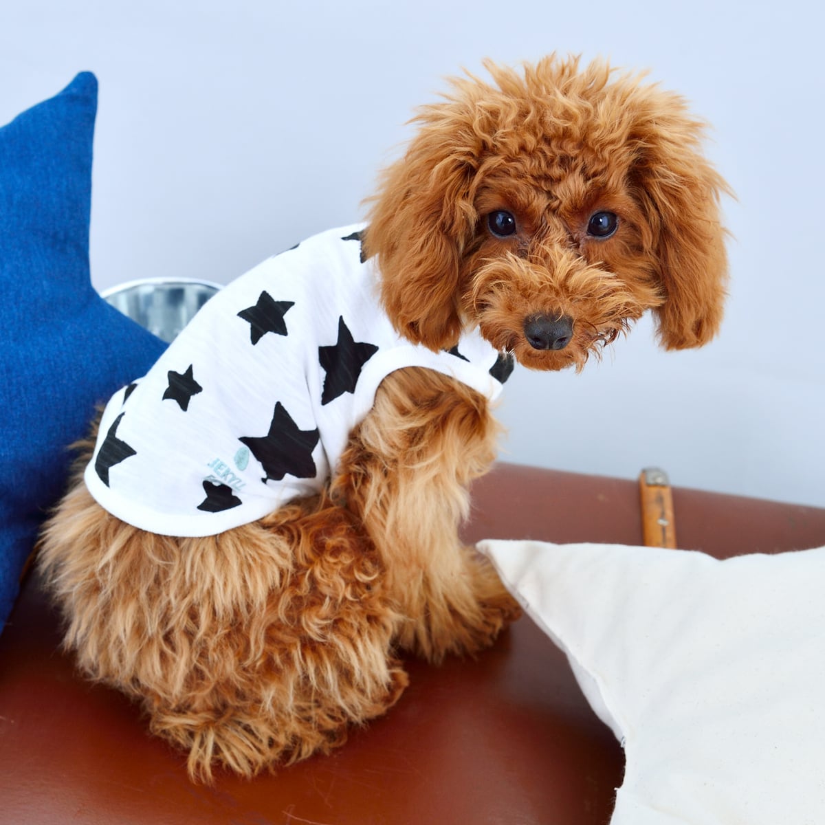 JE236 星柄タンクトップ (XXL)〜(DM) | JEKYLL EGG | ジキルエッグ