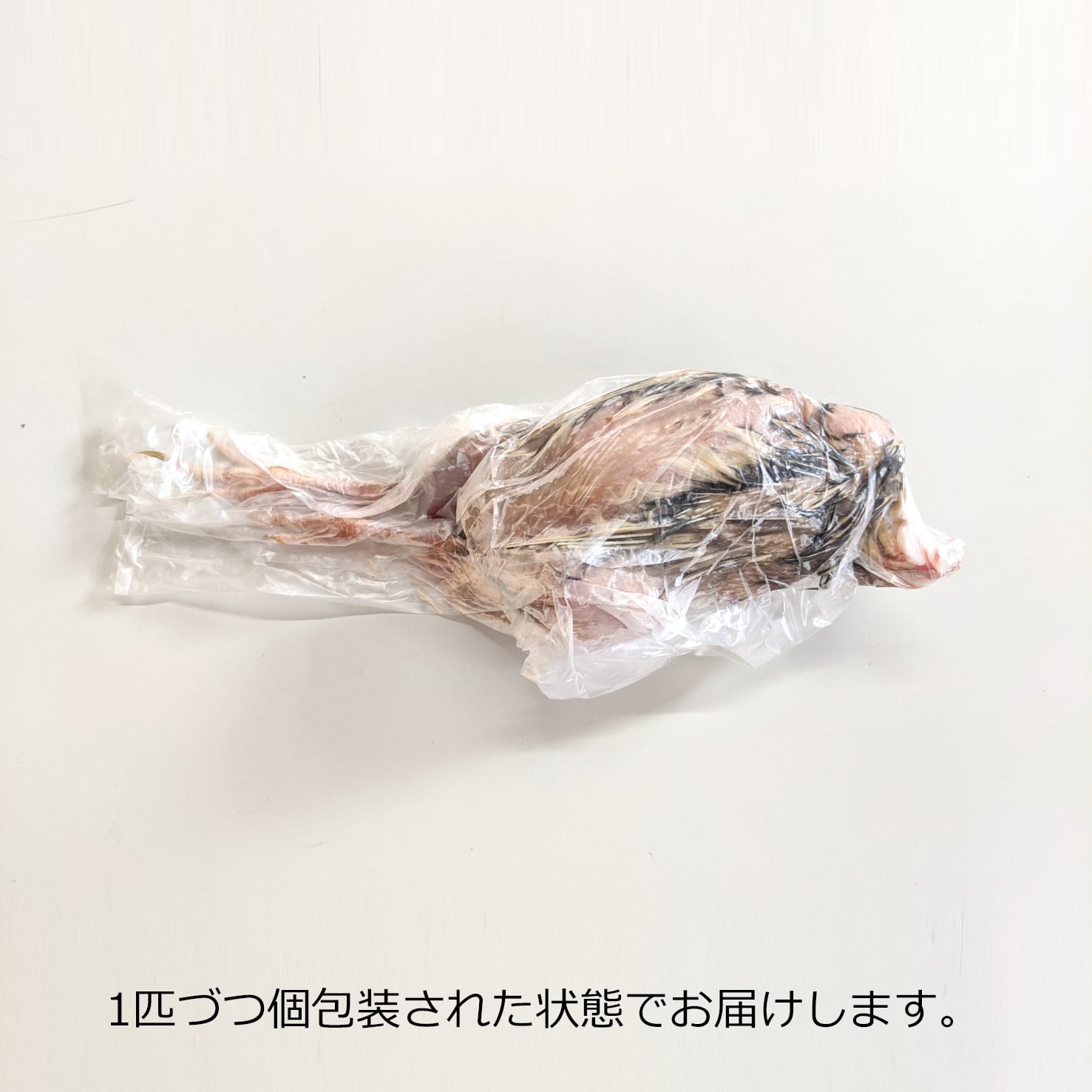 冷凍 親うずら 未処理100羽入 数量限定 残2個 ウズラ100羽餌用 頭付き