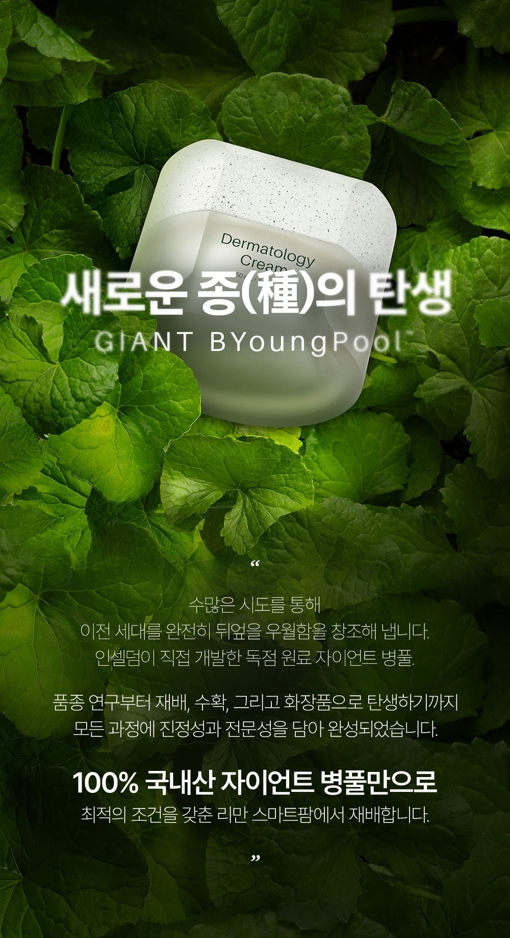 Dermatology Cream (クリーム) | miracle INCELLDERM