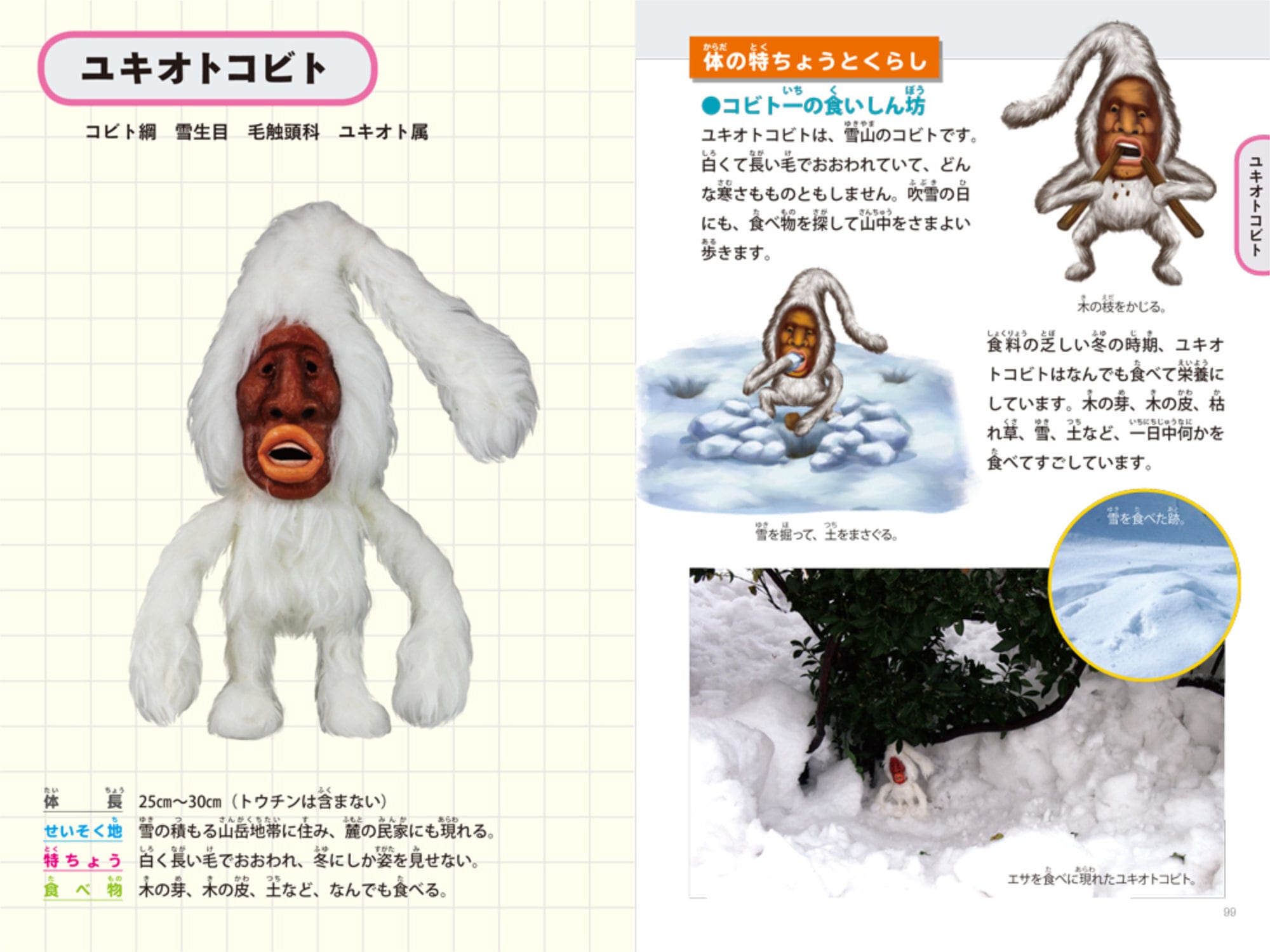 新種発見！こびと大研究 | こびとづかん公式WEBショップ《こびと百貨店》