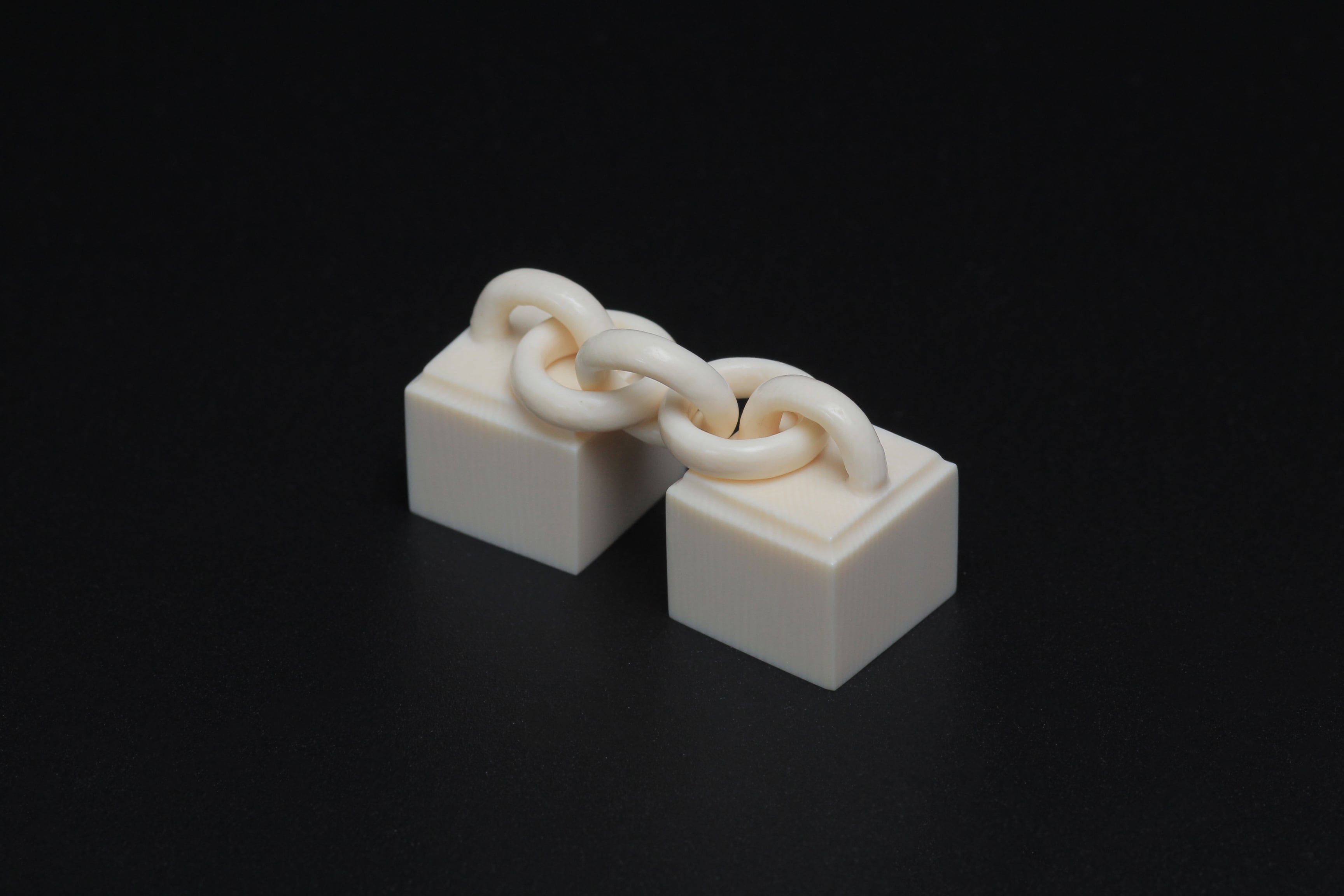 L05689 マンモス印材 鎖状 稀少 芯材 天然素材 篆刻 書道 文房具 | 正