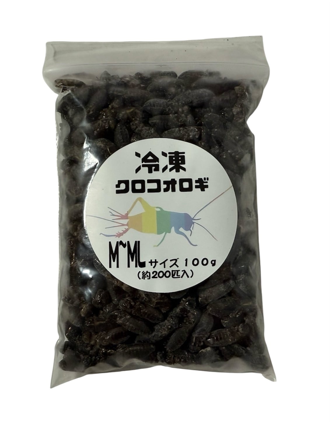 冷凍クロコオロギ MLサイズ 100g | BEST RODENT ベストローデント