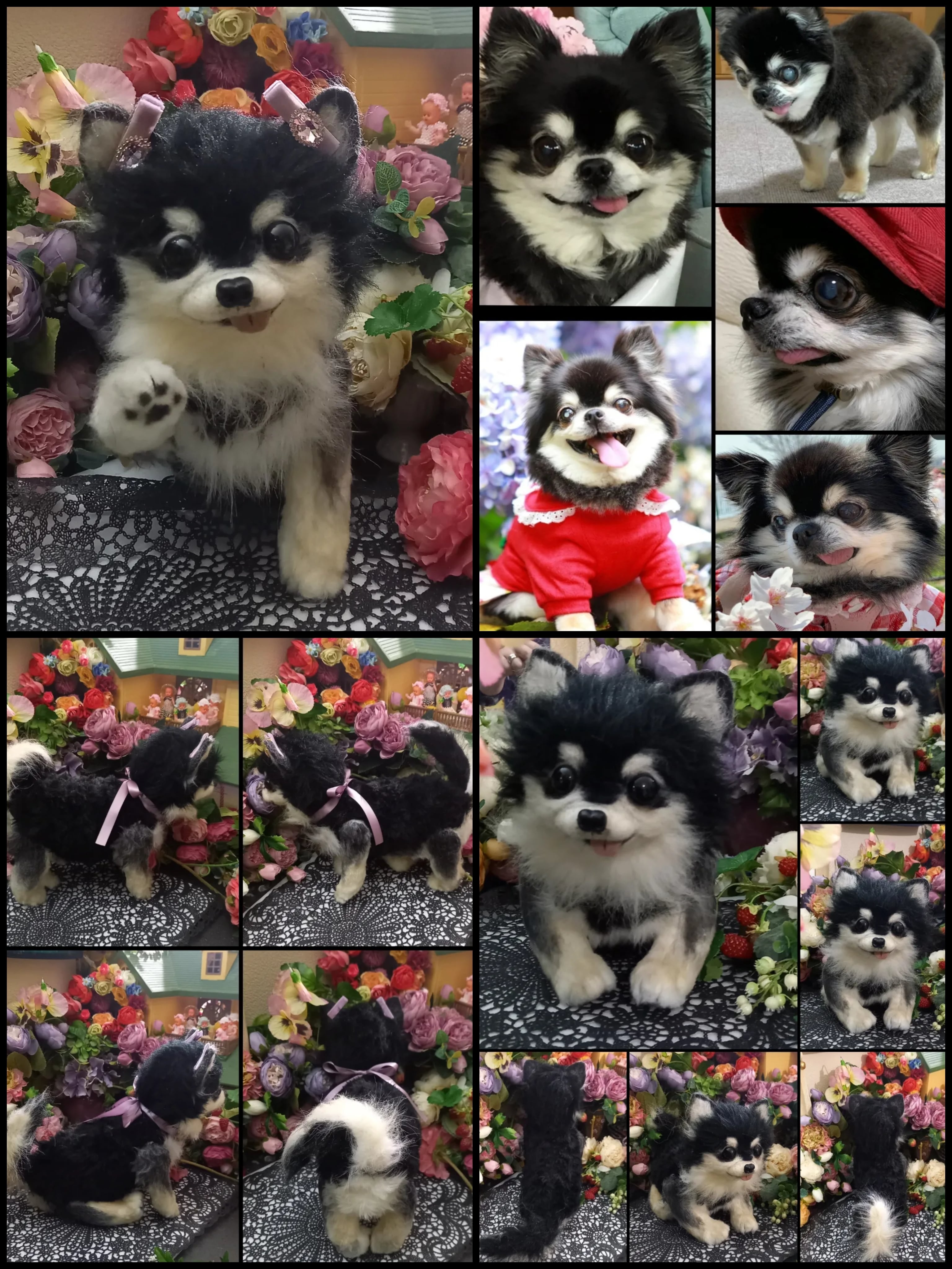 オーダー受付いたします♥️ 実物大 チワワ 愛犬 分身 ぬいぐるみ 羊毛