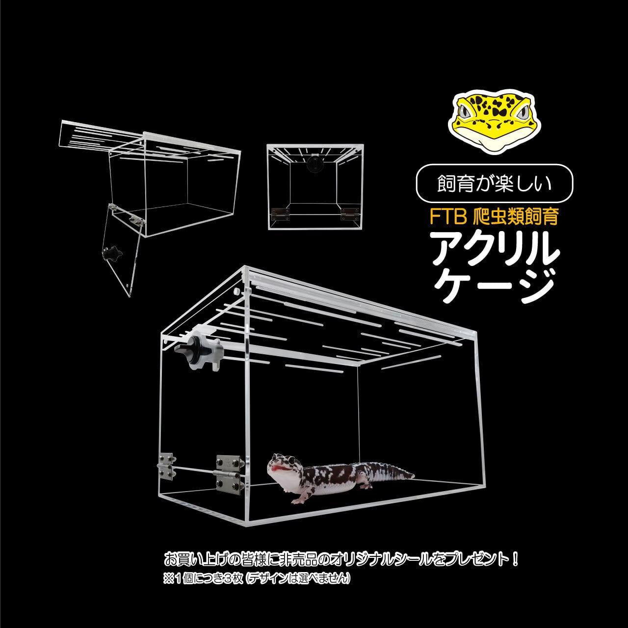 FTB小型爬虫類アクリルケージ | CLEAN REFRE クリーン・リフレ