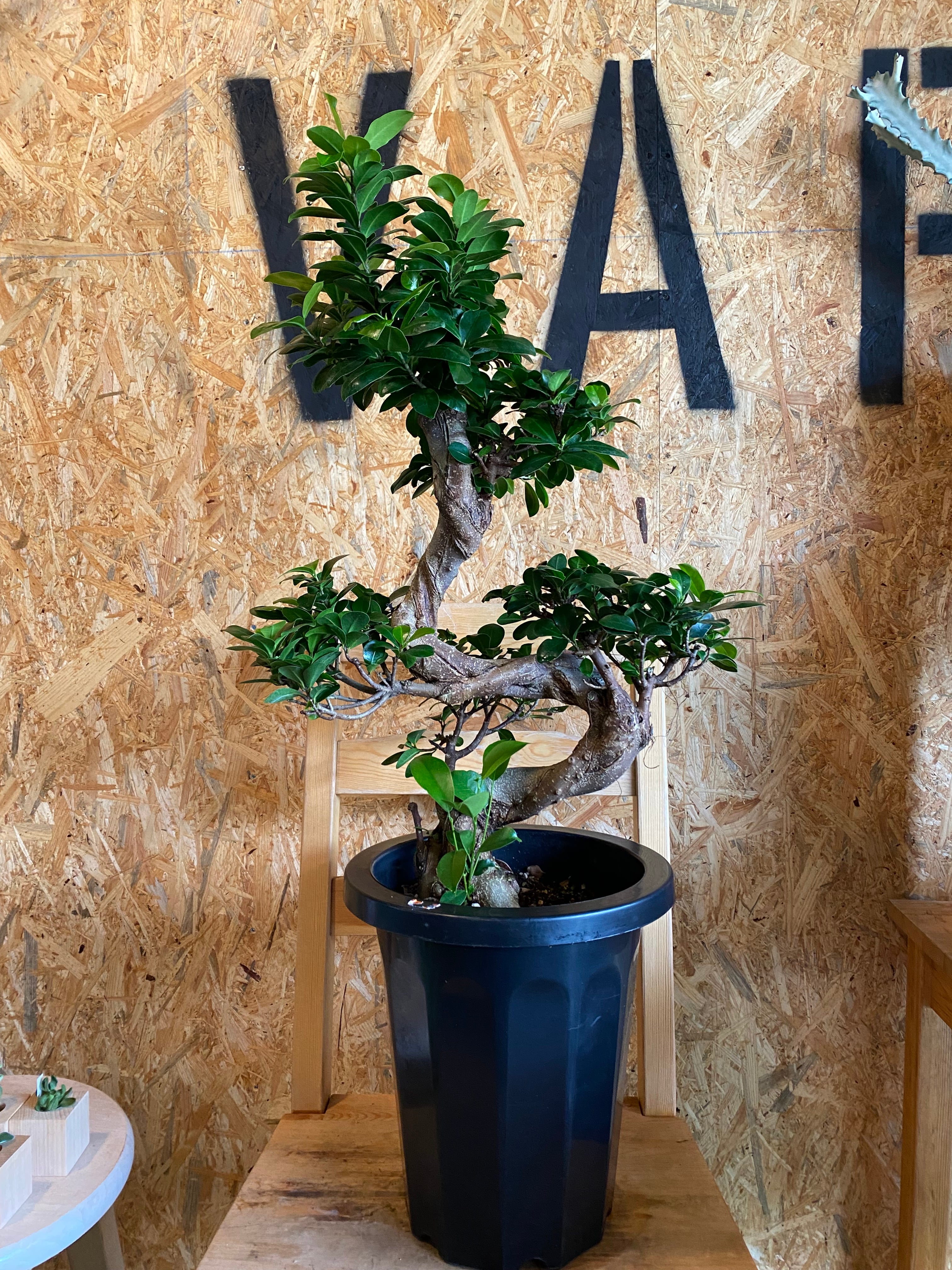 46d14e5554273fa1b4171bf6864652