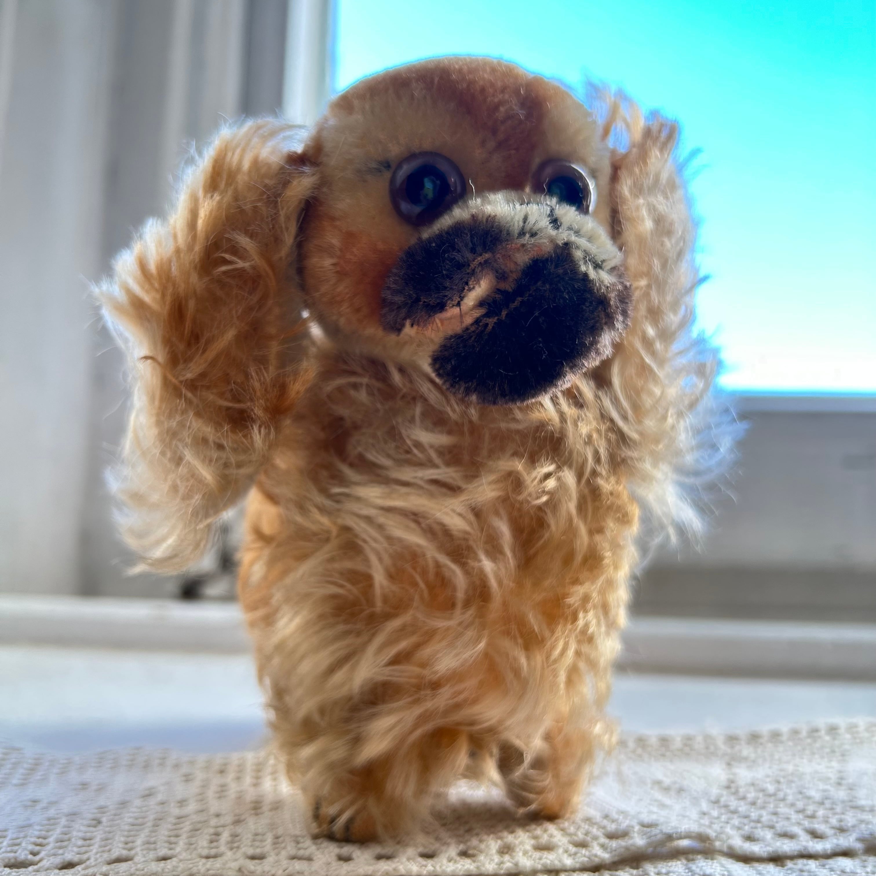 シュタイフ Peky ペキニーズ | Fussel