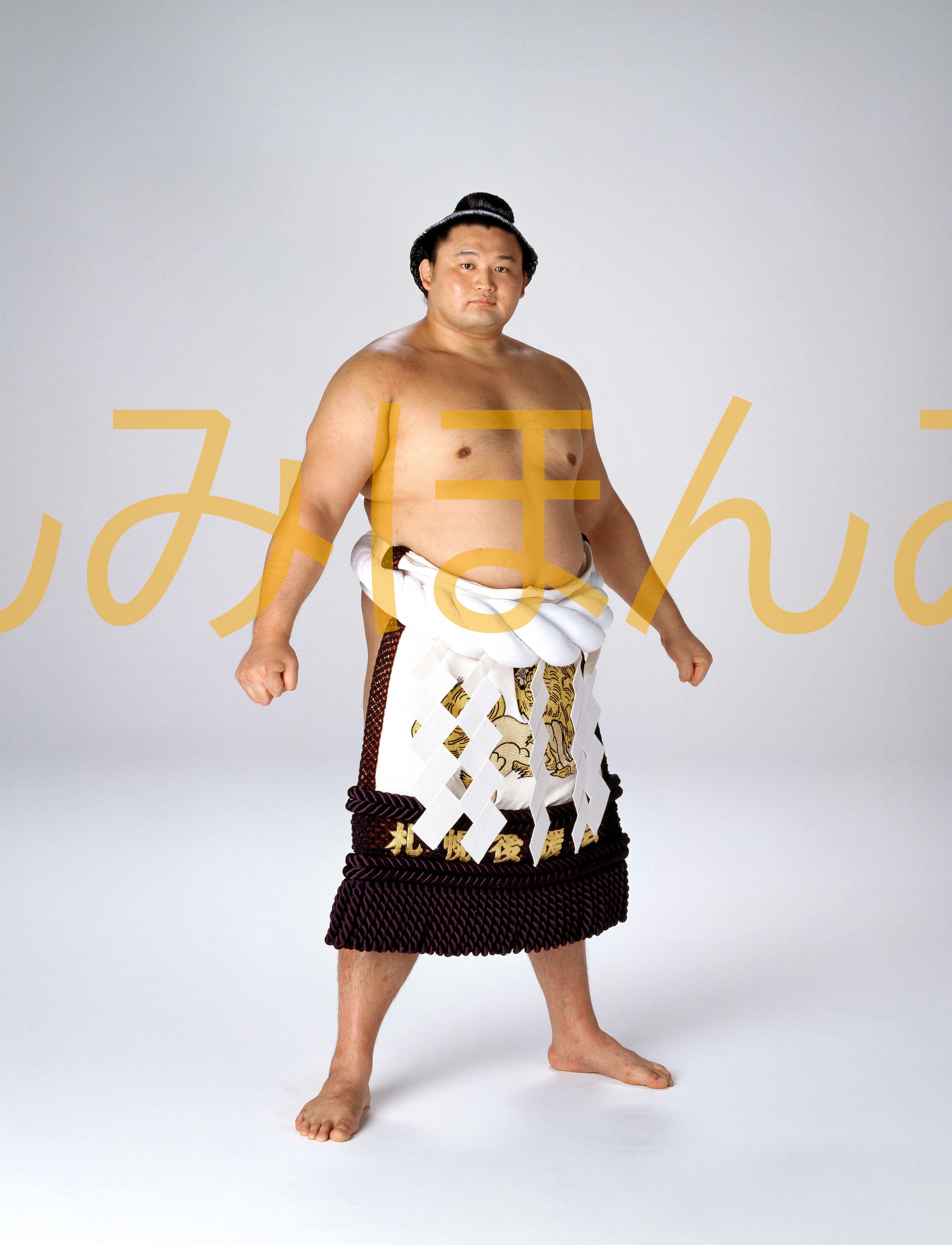 47968670f0b7313b925a3a490f2852