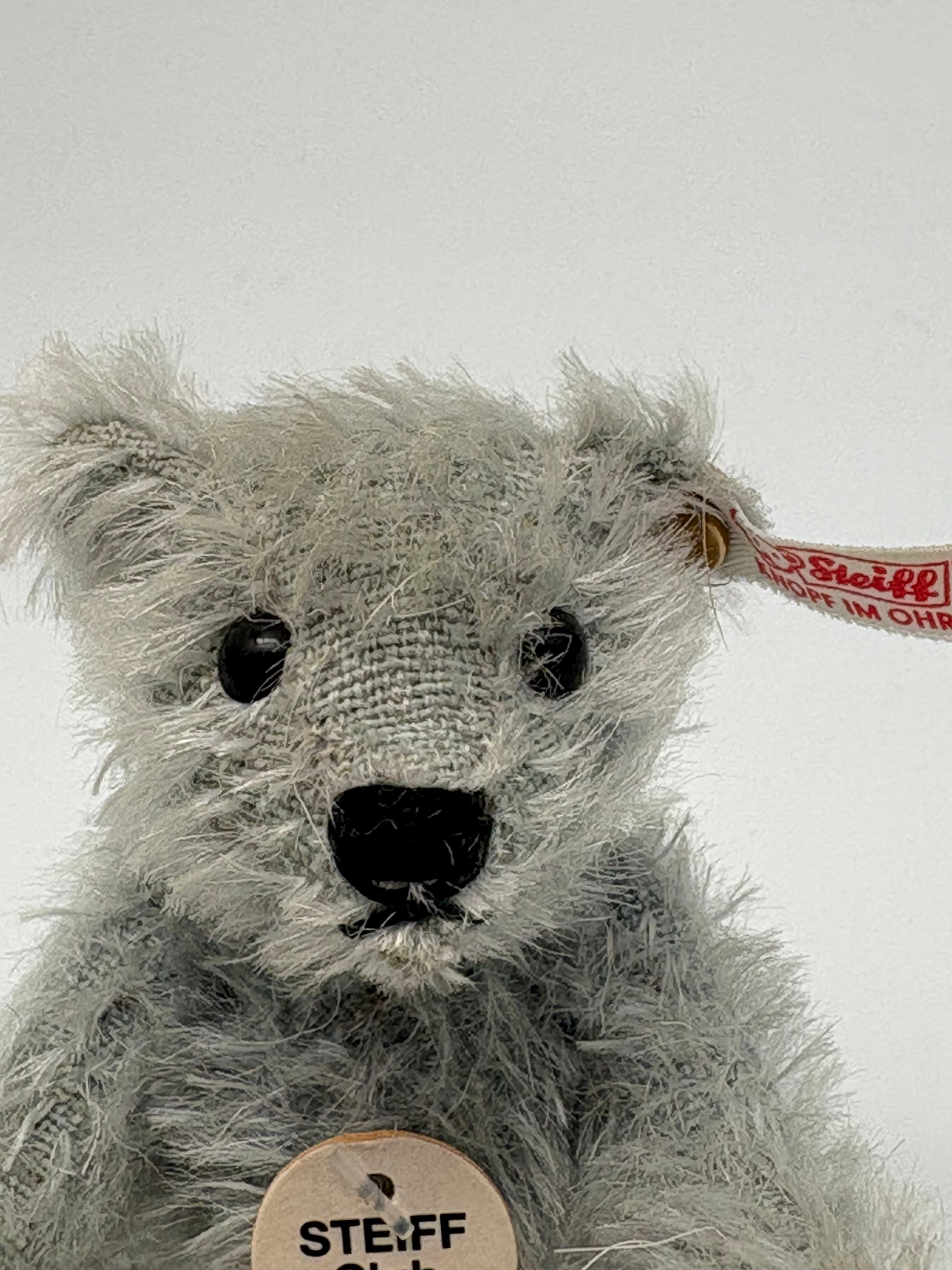 シュタイフ テディベア Steiff Club Teddy Bear 2004 | ヒガシマチ