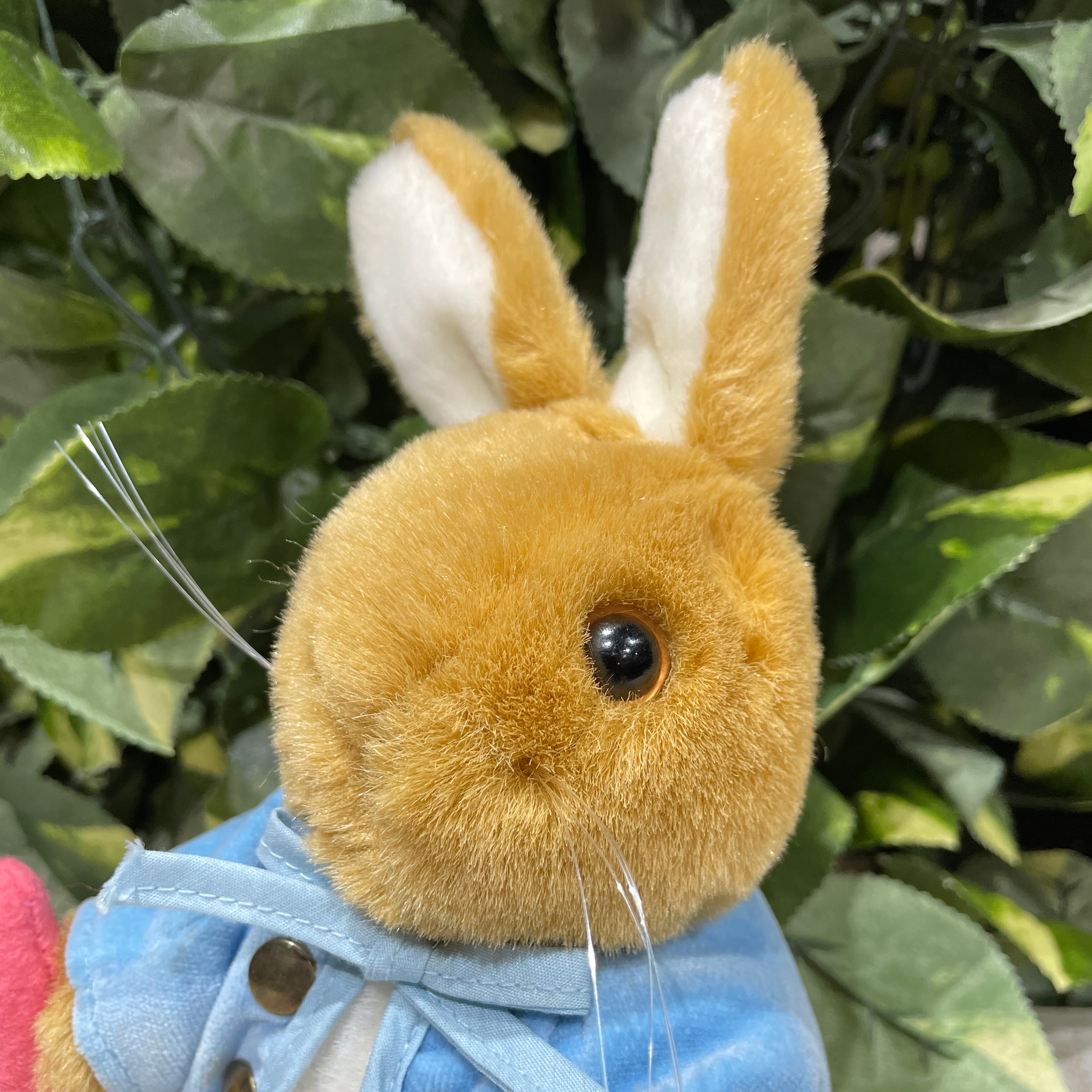 ⭐︎ピーターラビットちゃん⭐︎eden toys製⭐︎タグ付きデッド