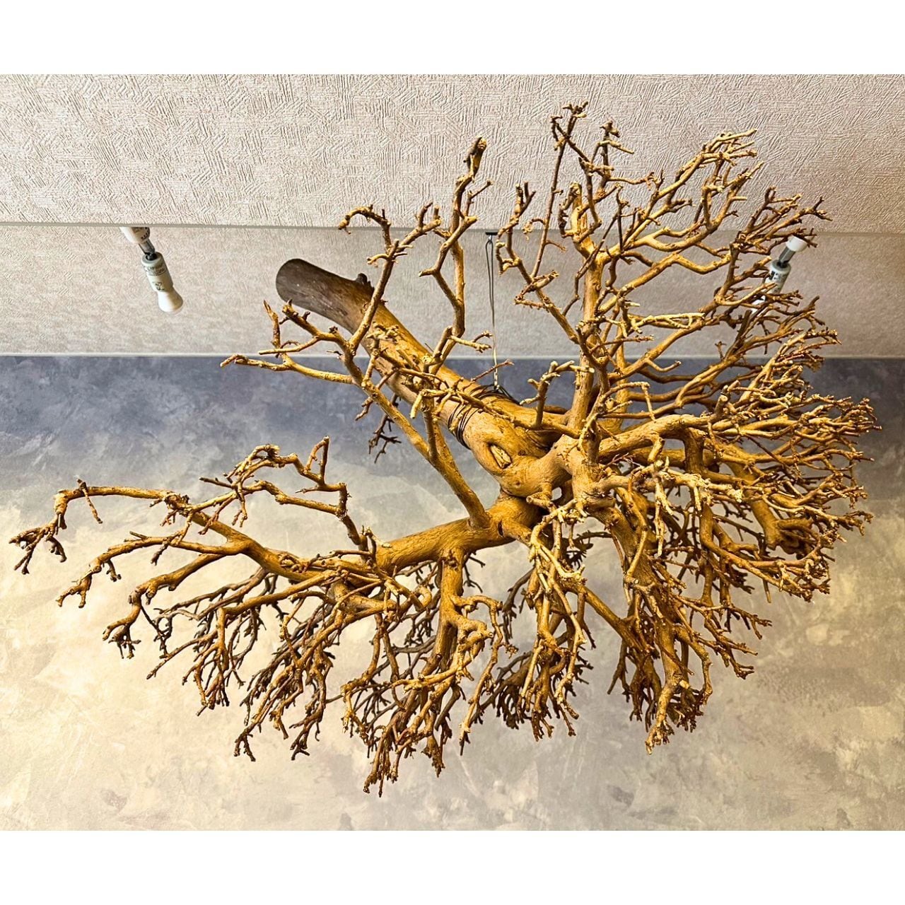 48c0c589f074bc2ca0c53ba9fb49b2