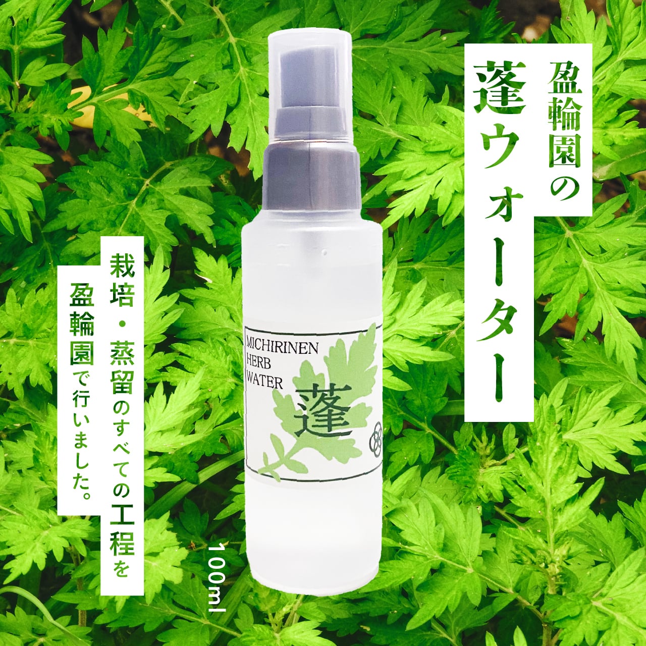 生体エネルギー発生装置 PS型 | グレイシー オンラインショップ -生体