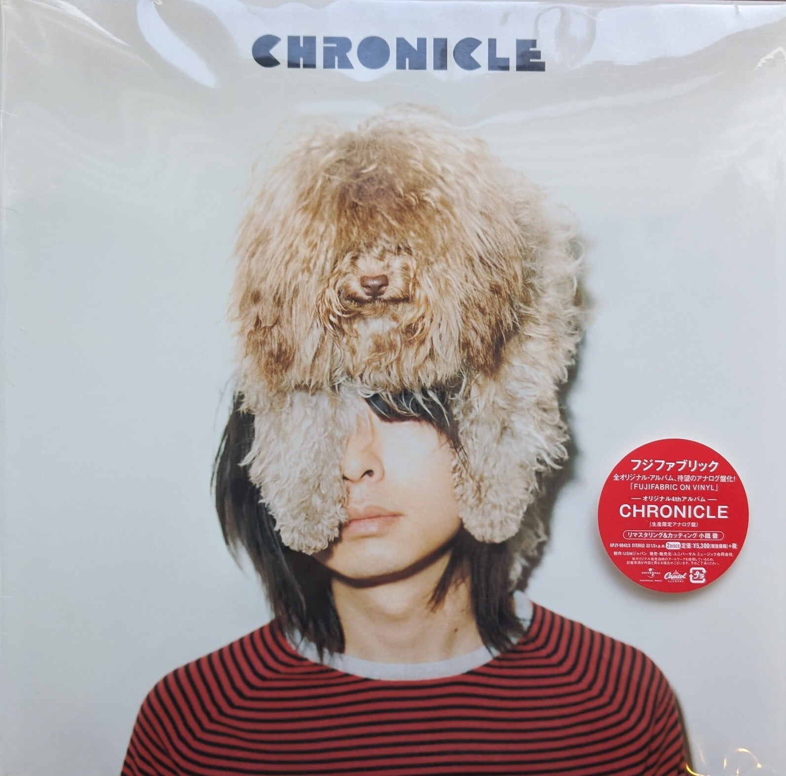 フジファブリック「クロニクル」：LPレコード | 音とこだま