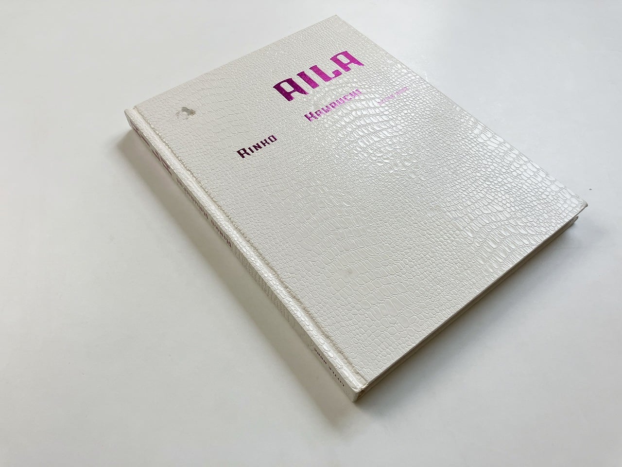 写真集】川内倫子 ／ AILA AILA: 川内倫子写真集 | 川内 倫子 |本