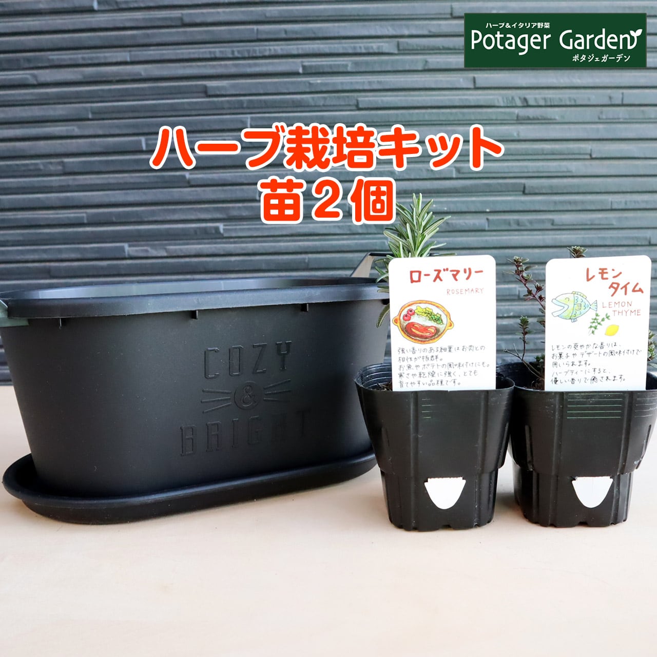 ハーブ 栽培キット グロウコンテナ18 緑 苗2個 | ハーブ苗のポタジェ