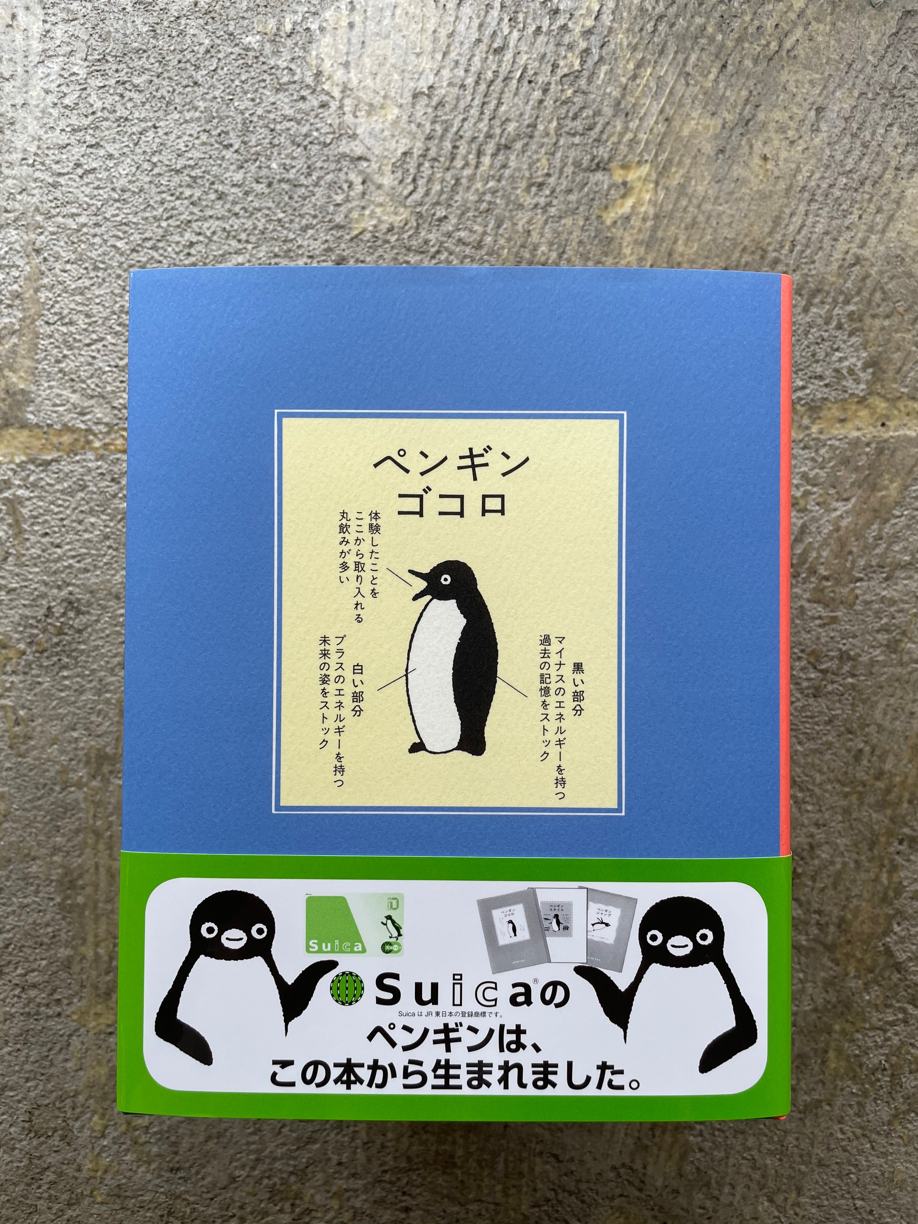 49c474c32a17244429e03838b6af53