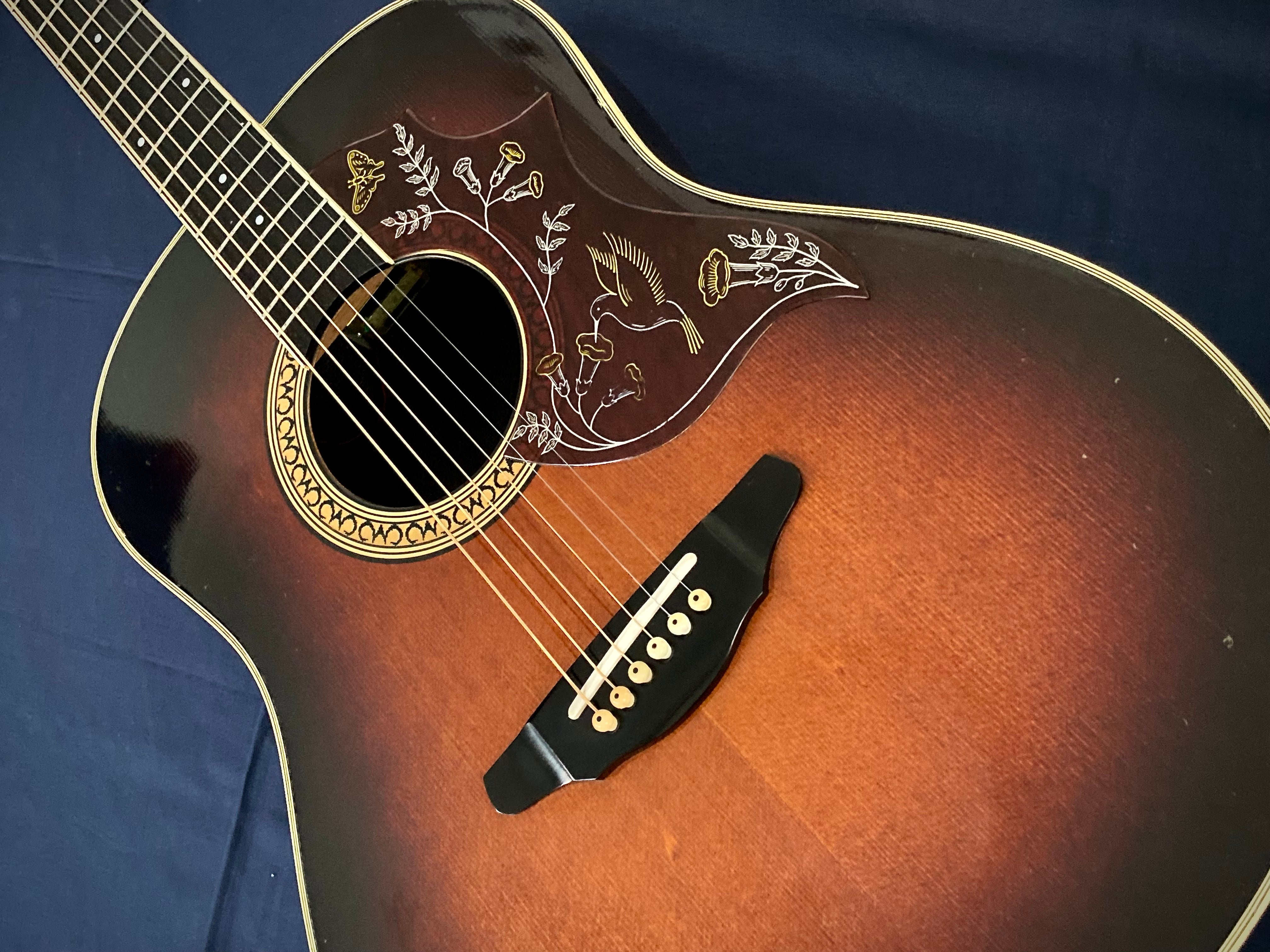 モーリス ( Morris ) TORNADO GXD 1984 Gseries スプルース単板TOP