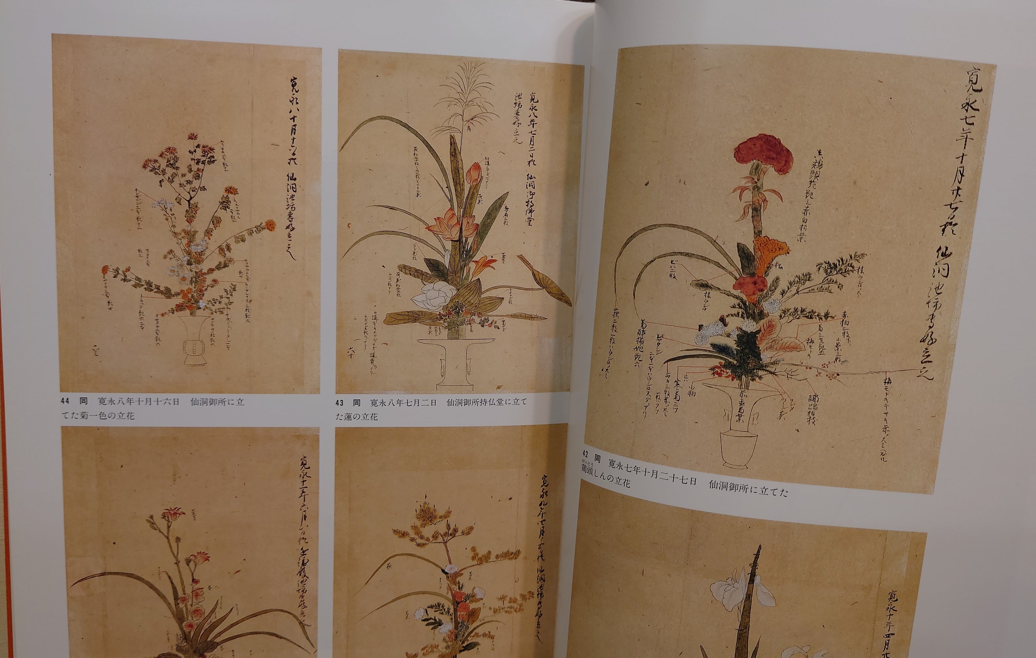 日本いけばな文化史 全5巻セット | 弥生坂 緑の本棚