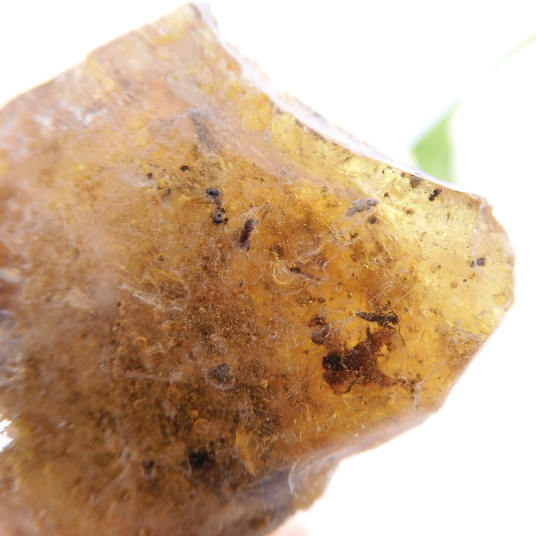 虫入りコパール 若い琥珀 化石 原石 夏休み 自由研究 a109 38.65ct