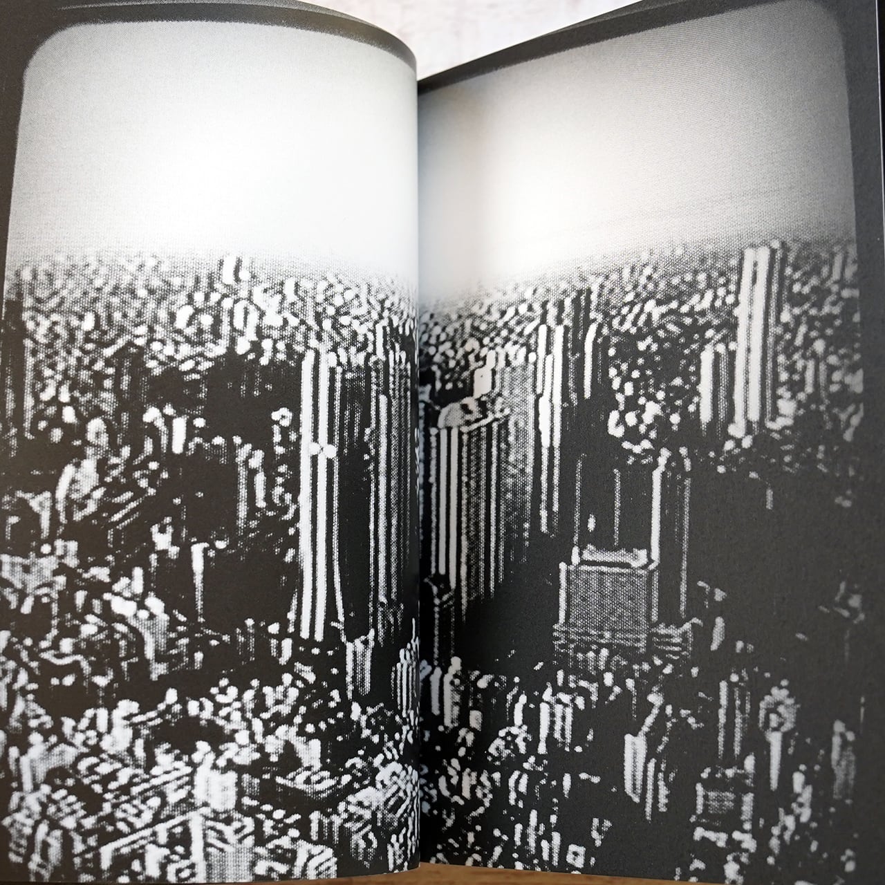 新宿＋ 森山大道 | タイムカプセル