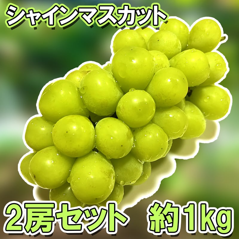 ぶどう屋 さいとう