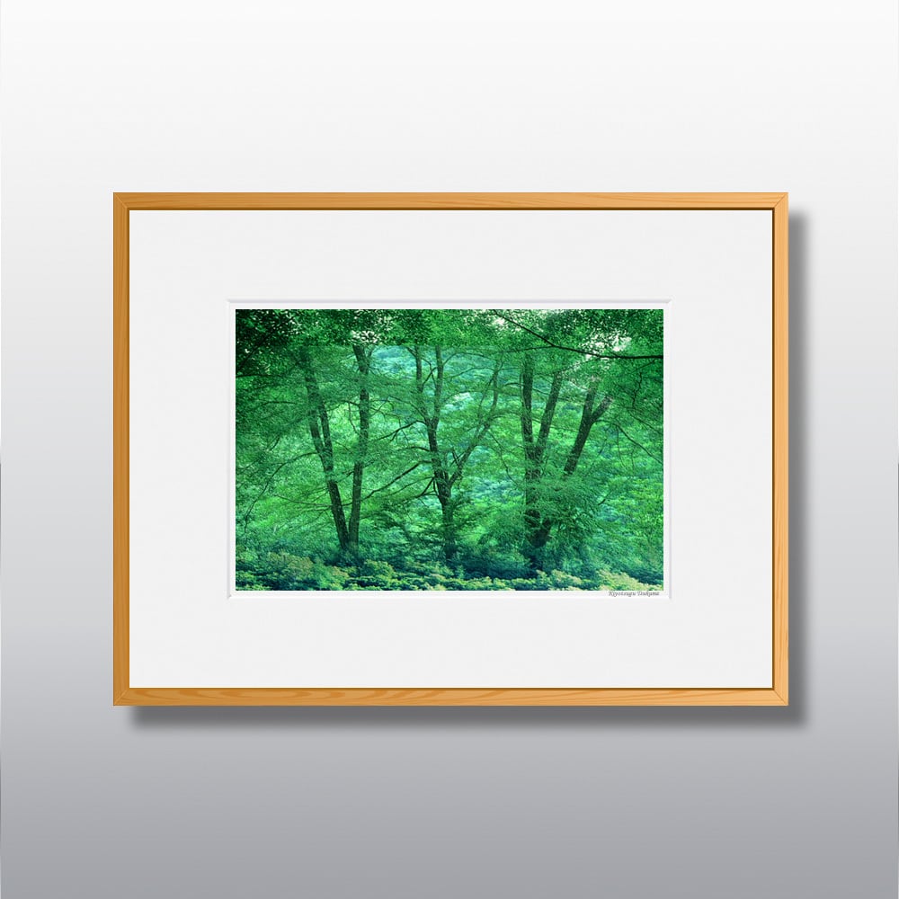 森の扉 #07 □額縁サイズ（太子）378㎜×288㎜ | 写真家 津熊清嗣 癒し