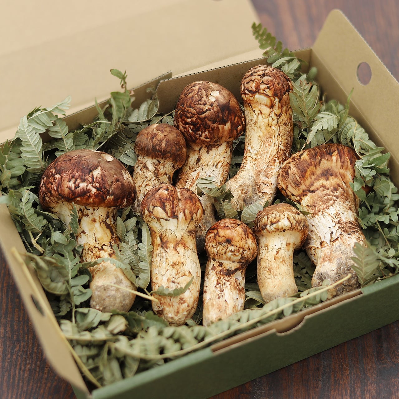 松茸 北海道 400g ① 国産 北海道 松茸 400g ④ 【公式通販】