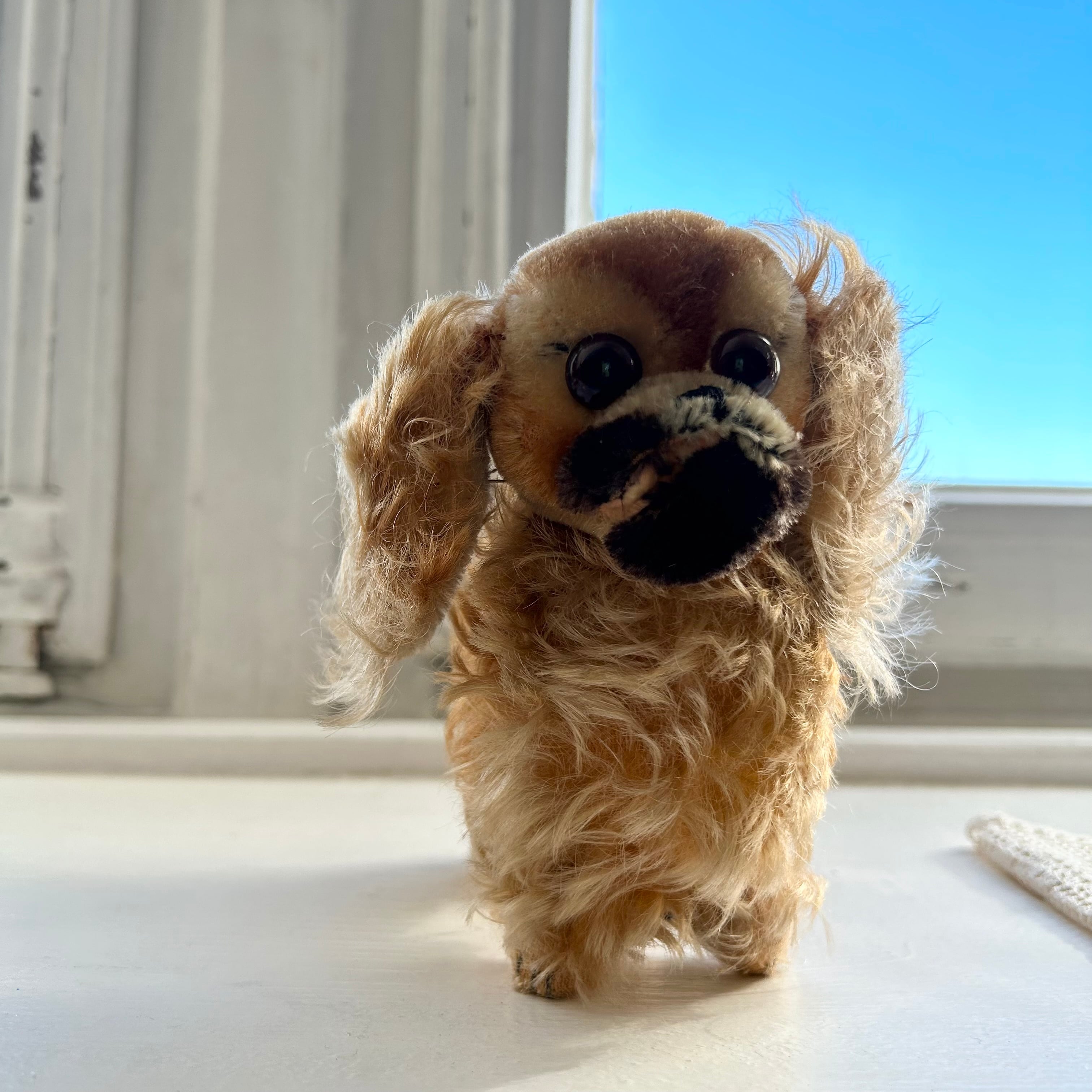 シュタイフ Peky ペキニーズ | Fussel