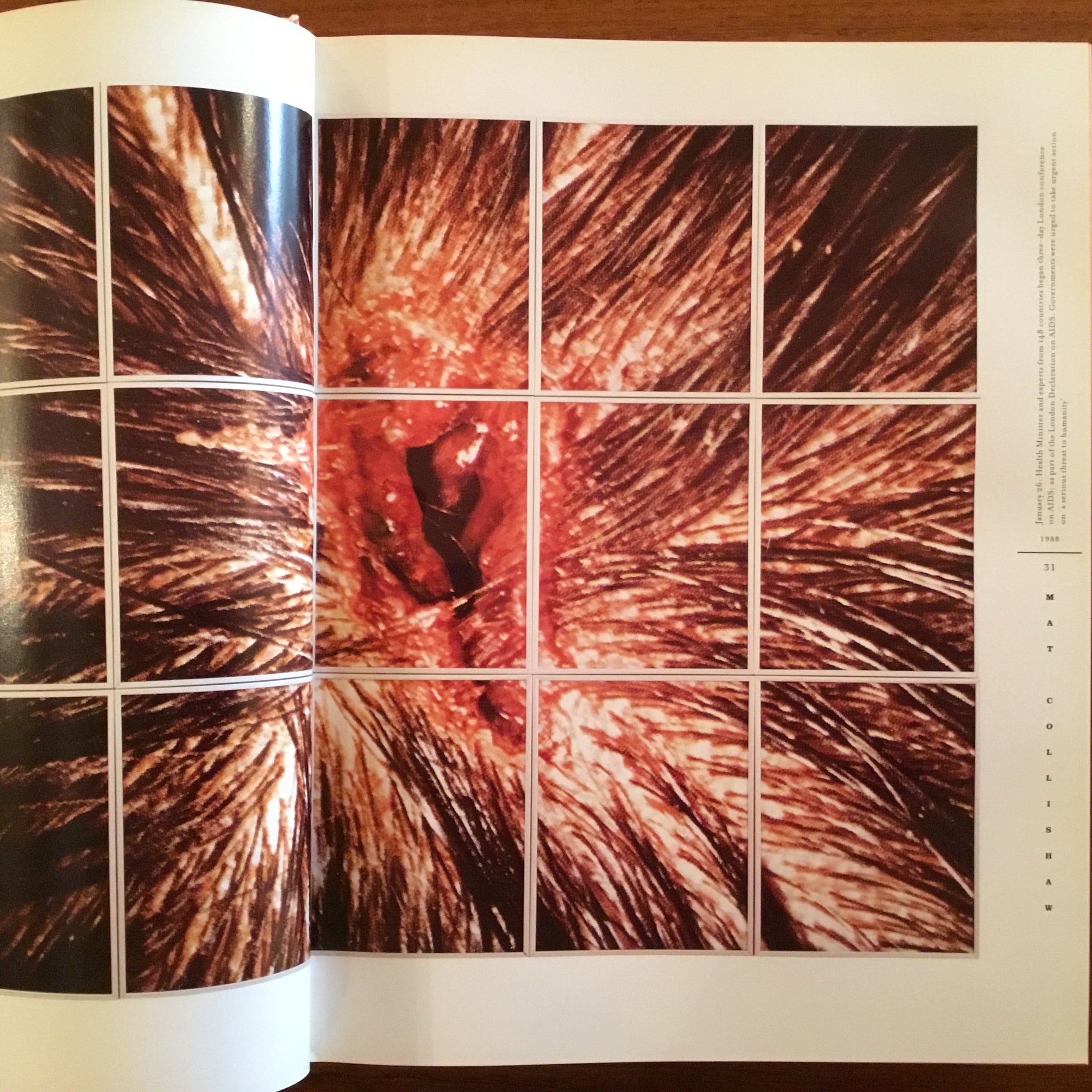 Young British Art: The Saatchi Decade | Flying Books