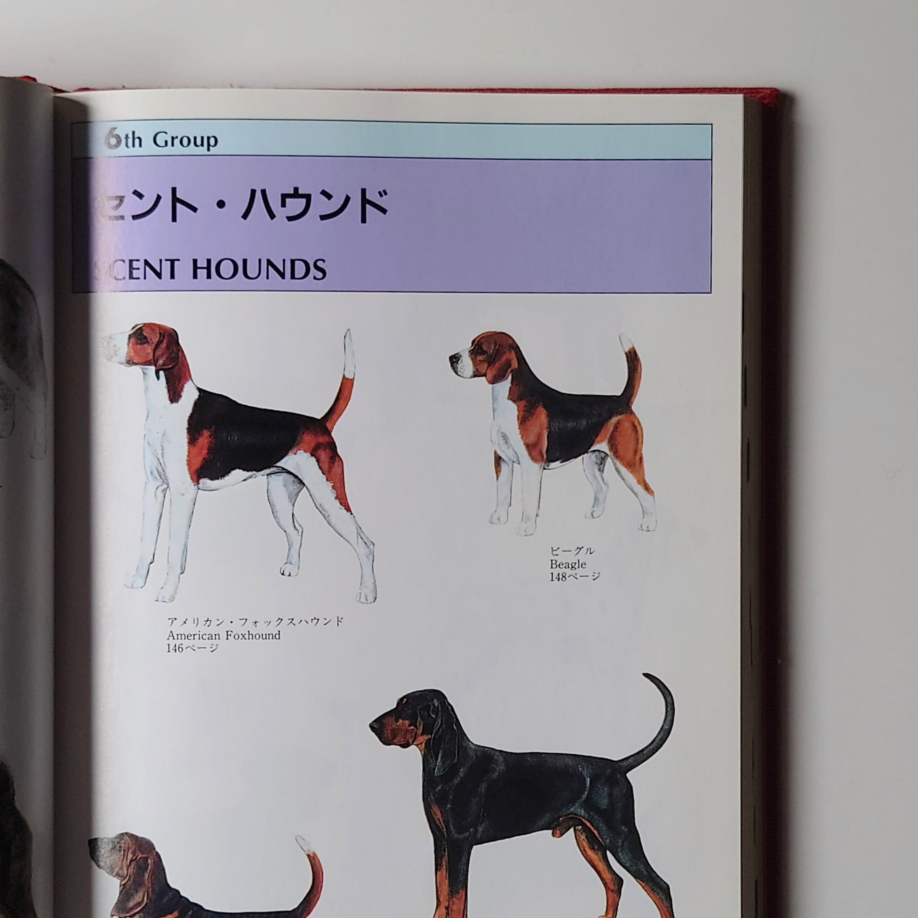 JKC 全犬種標準書第9版 | イヌグラシ