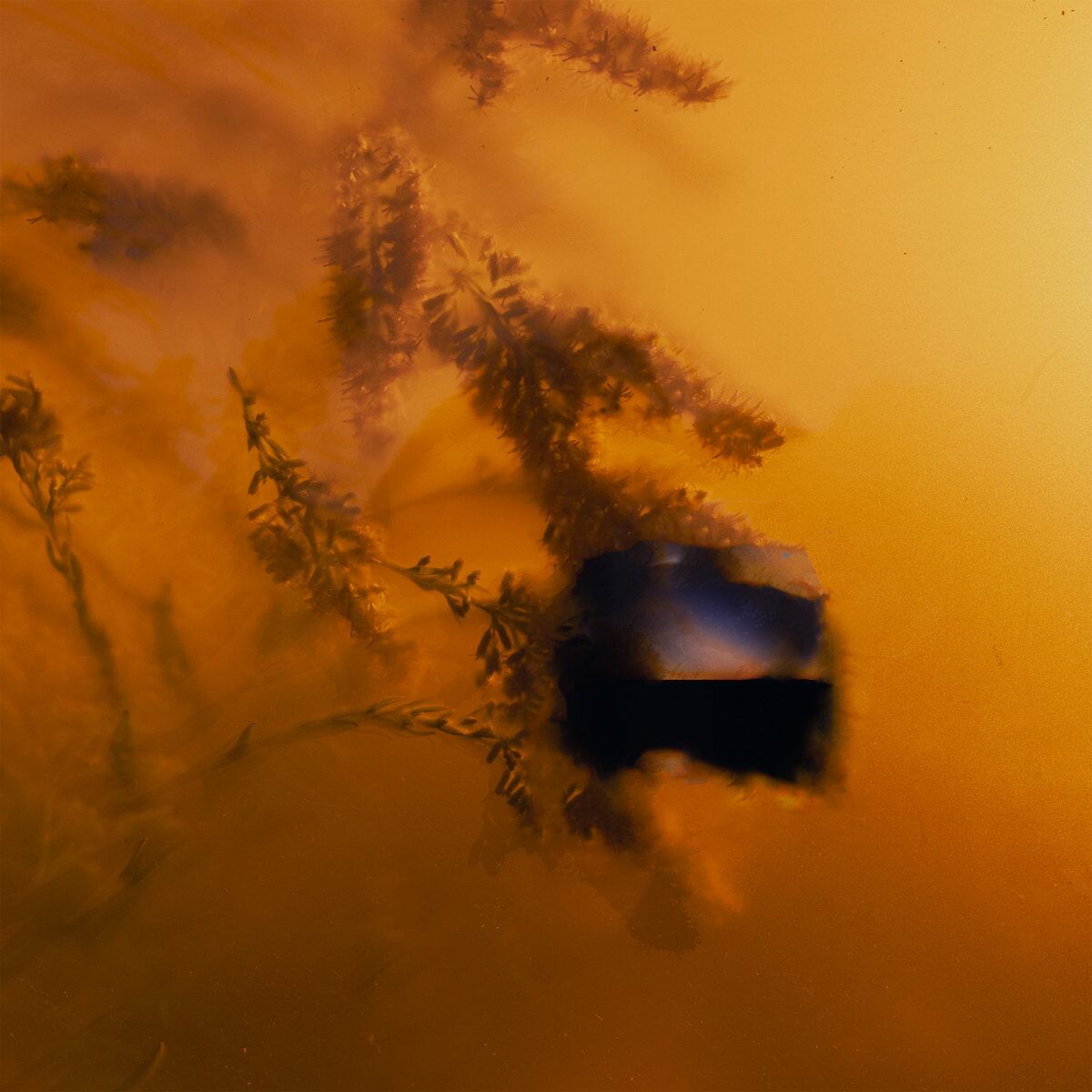 エクスペリメンタル | PASTEL RECORDS | パステルレコーズ〜奈良より