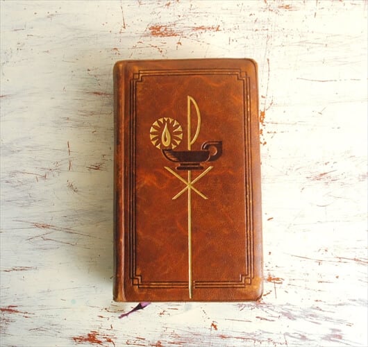 4e06f7cfc6d20000c4d31370e0b28c