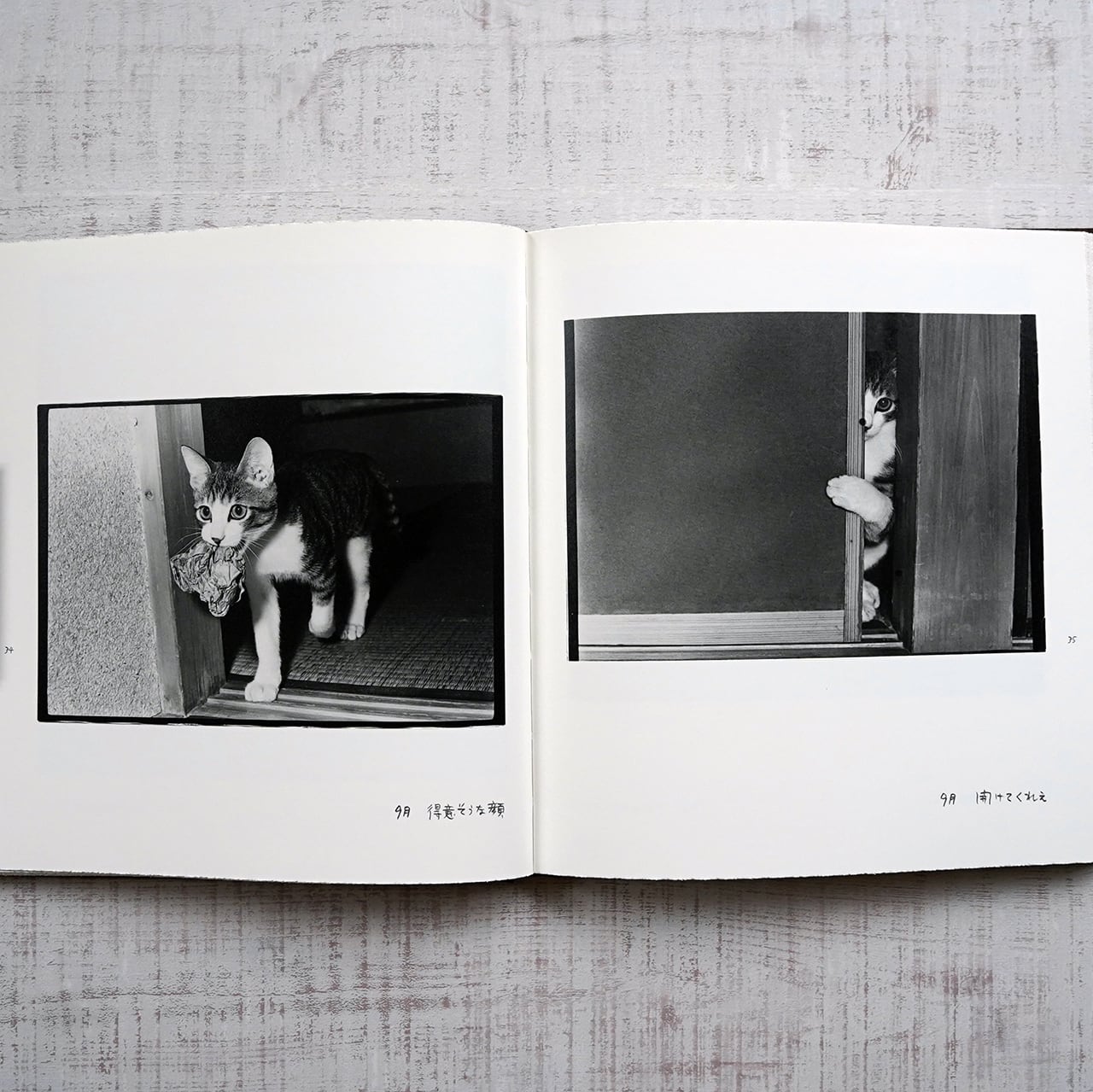 afterword 深瀬昌久 | タイムカプセル