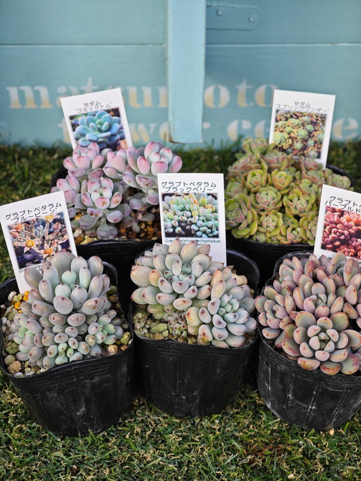 4e1bcbd6d5be46bf0b10f104cba09c