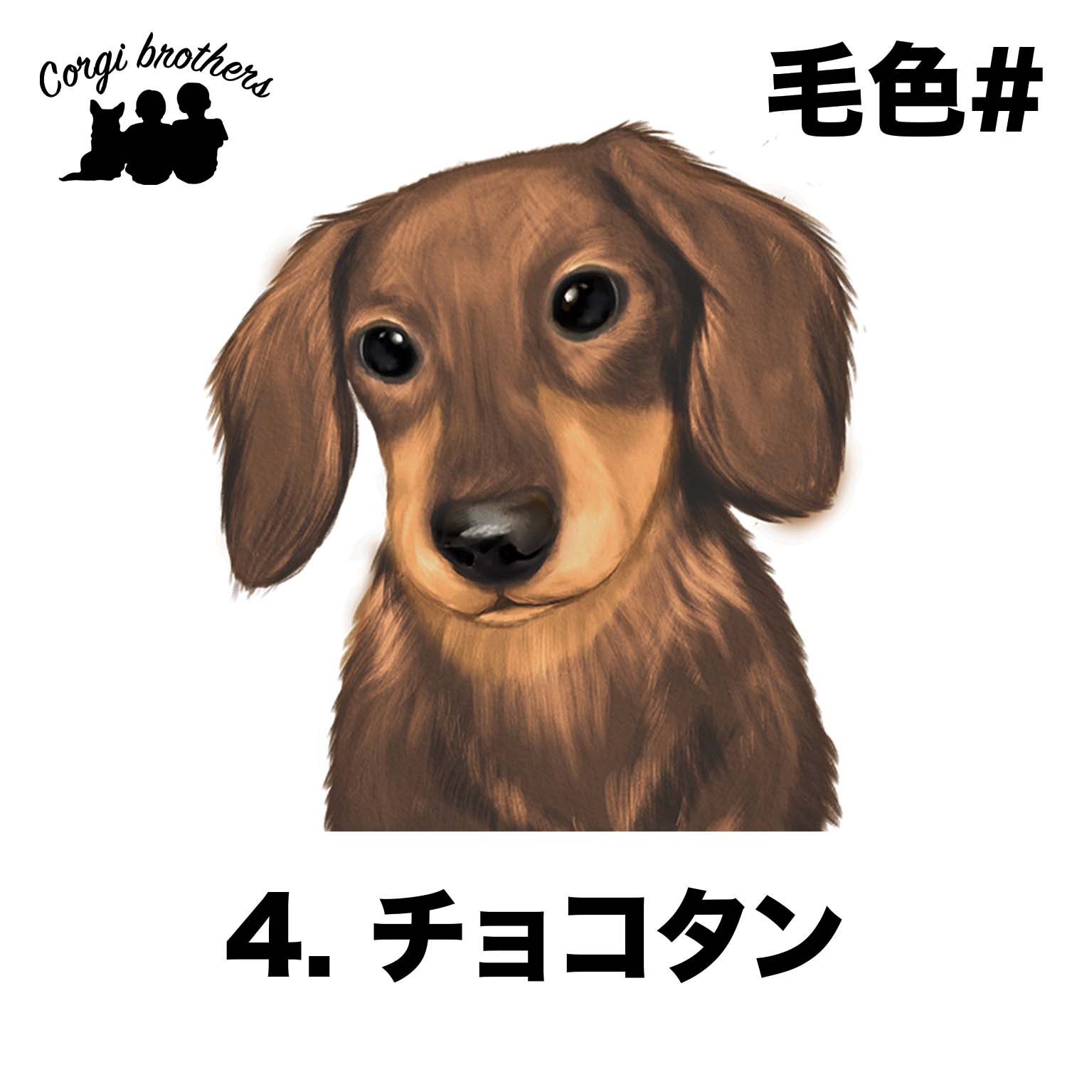 ダックスフンド 水彩画風 毛色7色 】 マグカップ お家用 プレゼント 犬