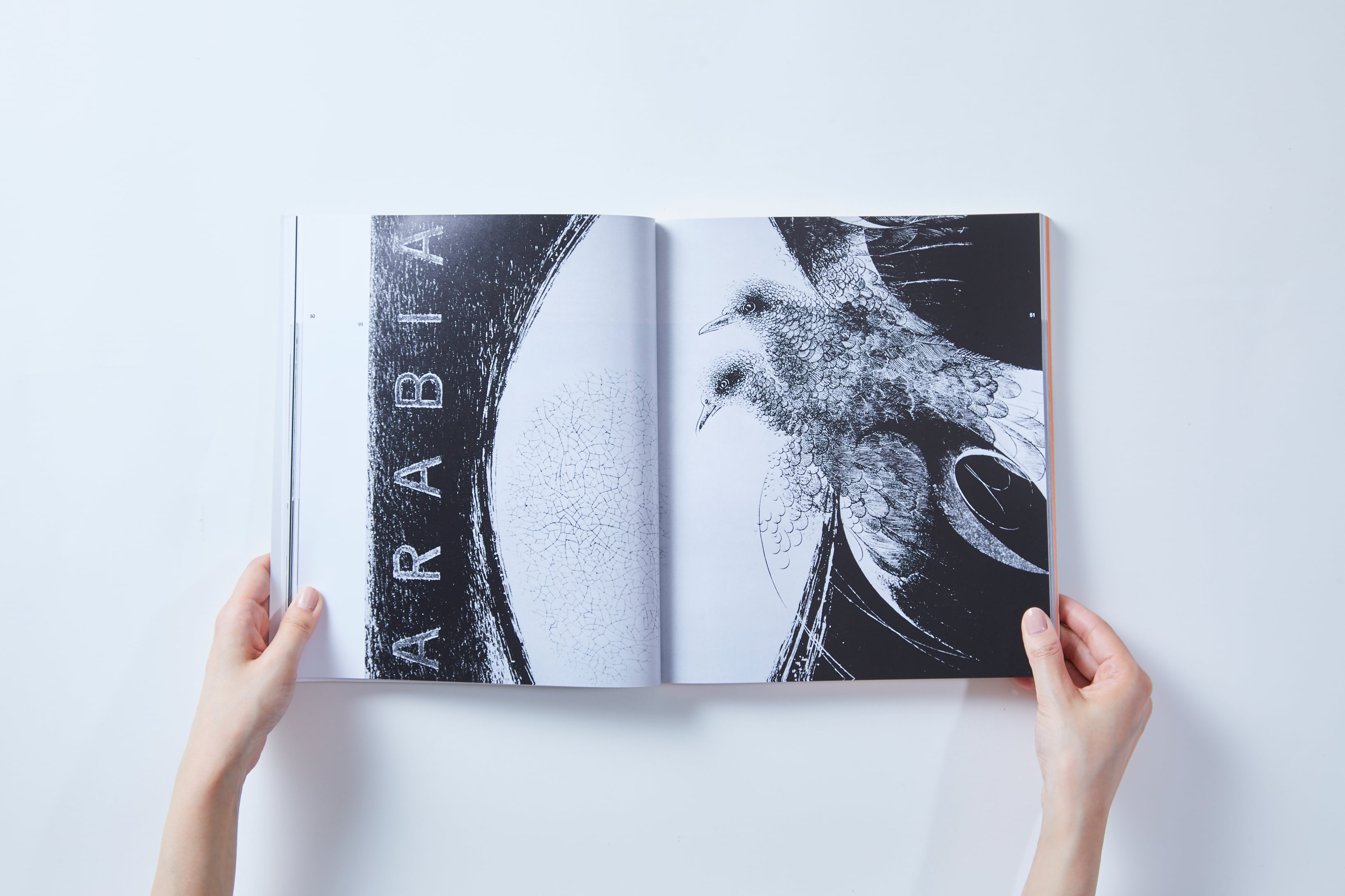 書籍『タピオ・ヴィルカラ』＊『TAPIO WIRKKALA』の復刻版 | ブルー