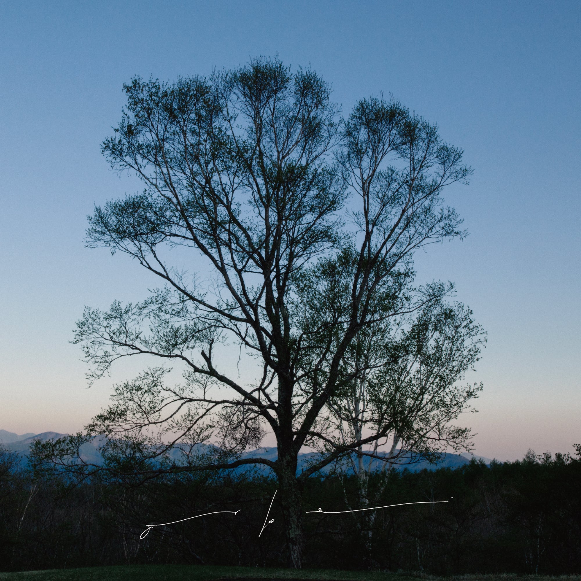 orbe / orbe feat.LUCA（12インチレコード＋CD付き） | 灯台