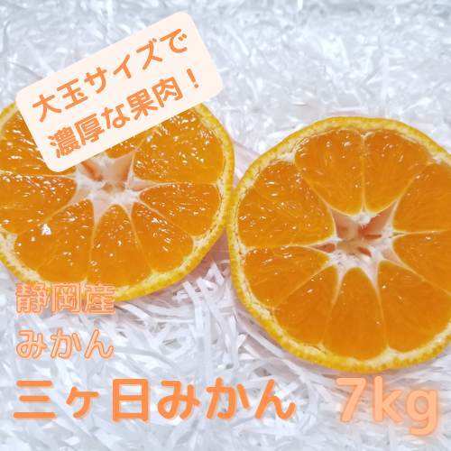 特選】静岡産 三ケ日みかん 青島種 優品 2L 7kg 贈答用 ギフト 家庭用