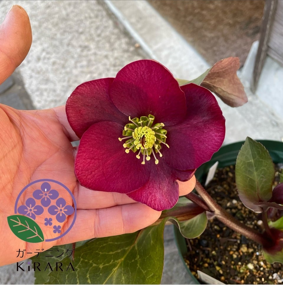 4f78dc14270b6f53f4eff1c1f7ce35