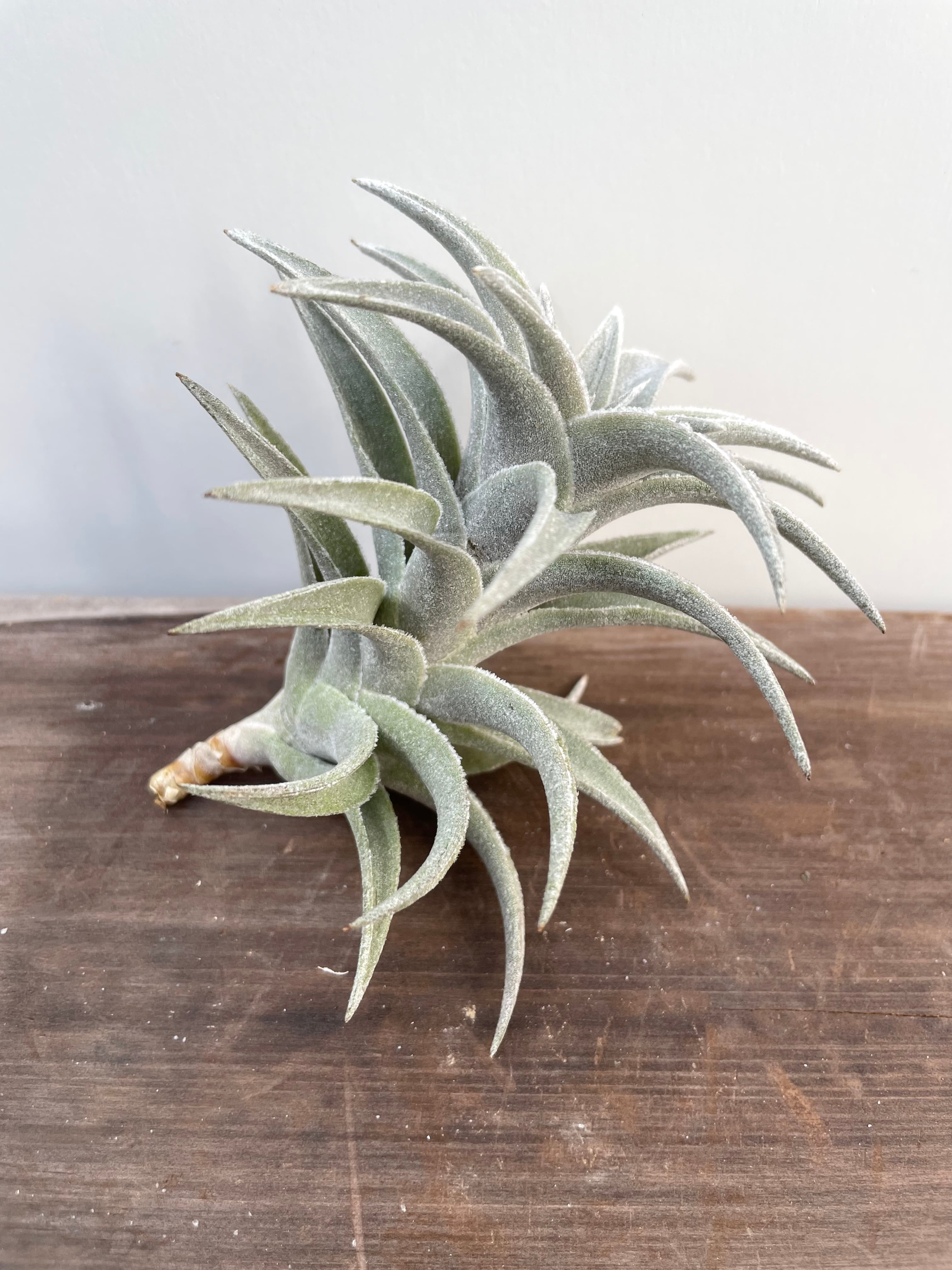 53aee4ecb3871664e955ff82a2c278