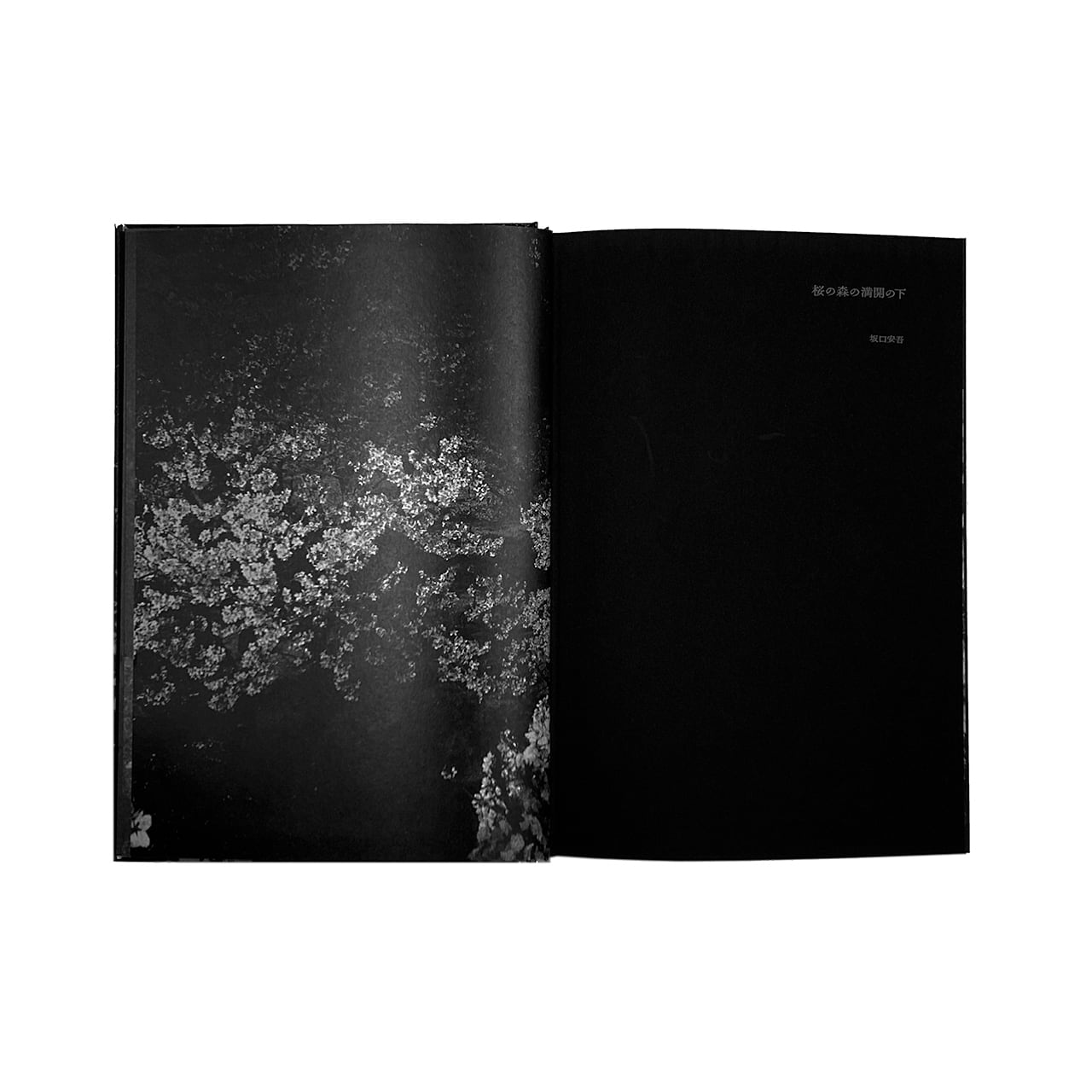 森山大道: Daido Moriyama: Ango 【日本語版】 | Pay ID