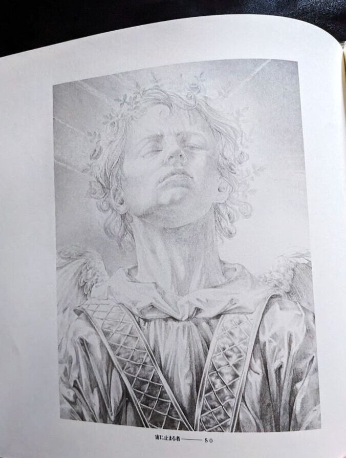 標本箱の少年／建石修志画集 | 月光百貨店