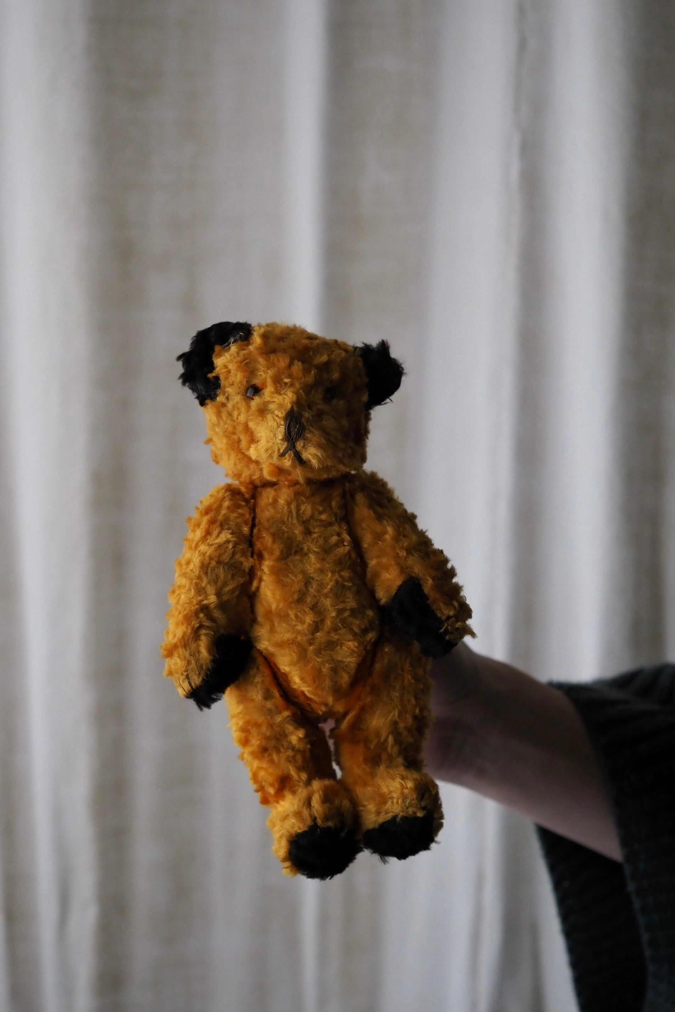 首を傾げるスーティーベア-vintage teddy bear | アンティーク