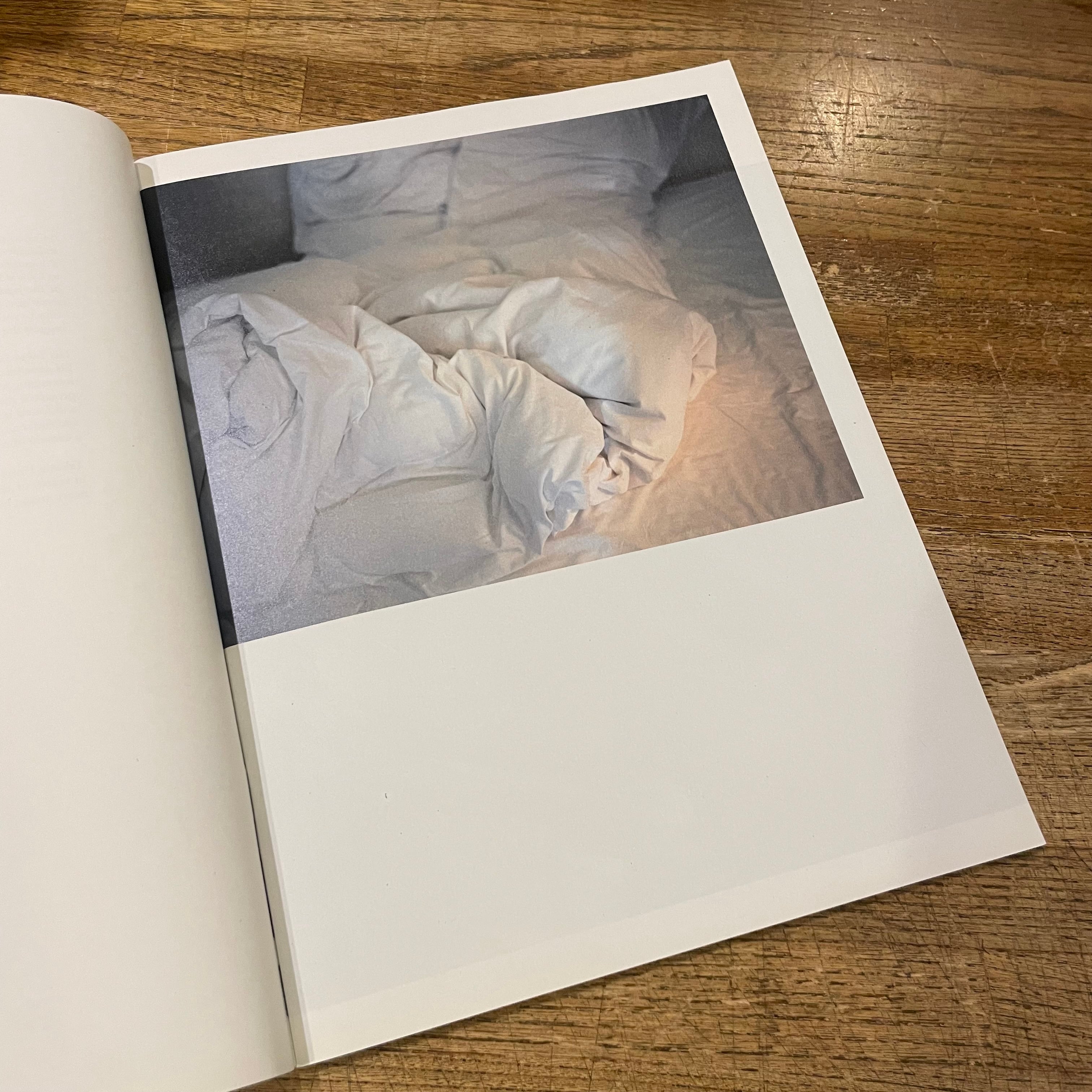 The Takashi Homma Purple Book - Landscapes - / ホンマタカシ | 百年