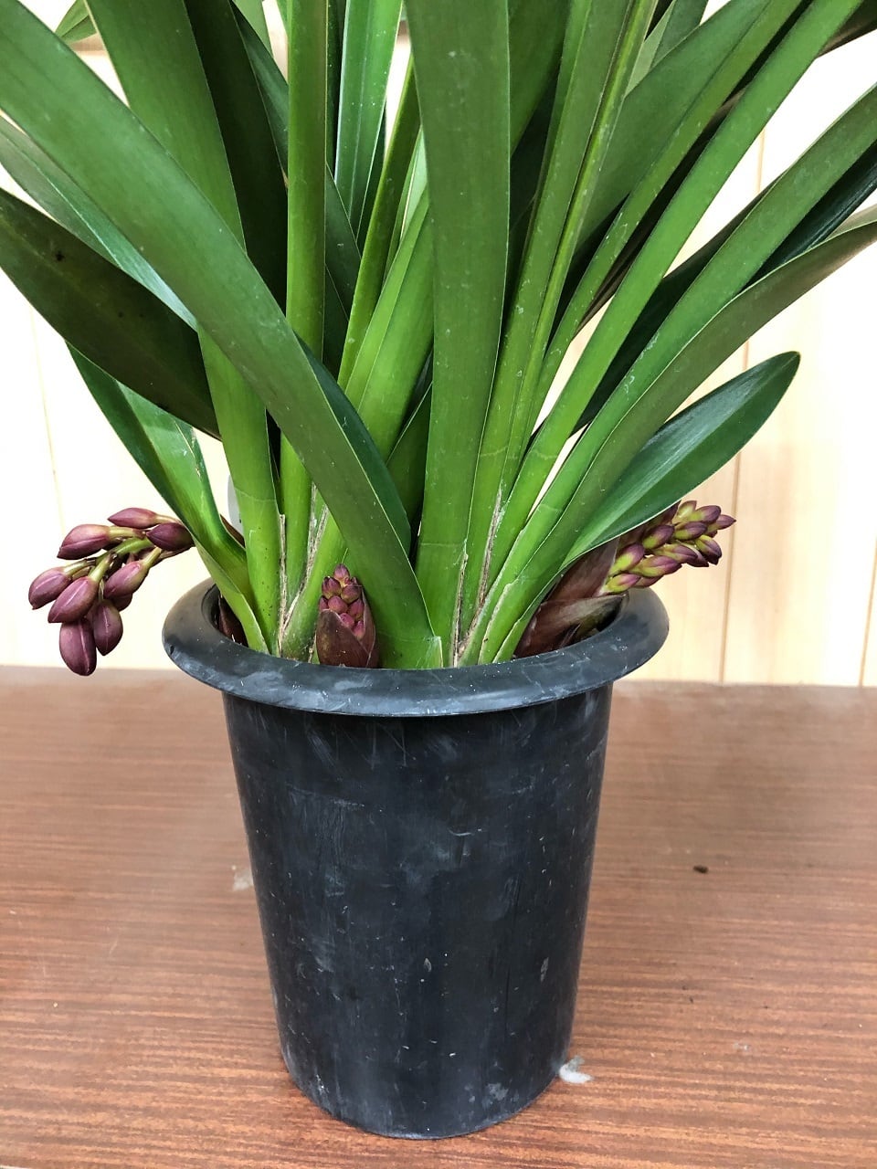 529046be33d4a770a099bf5b611cf5