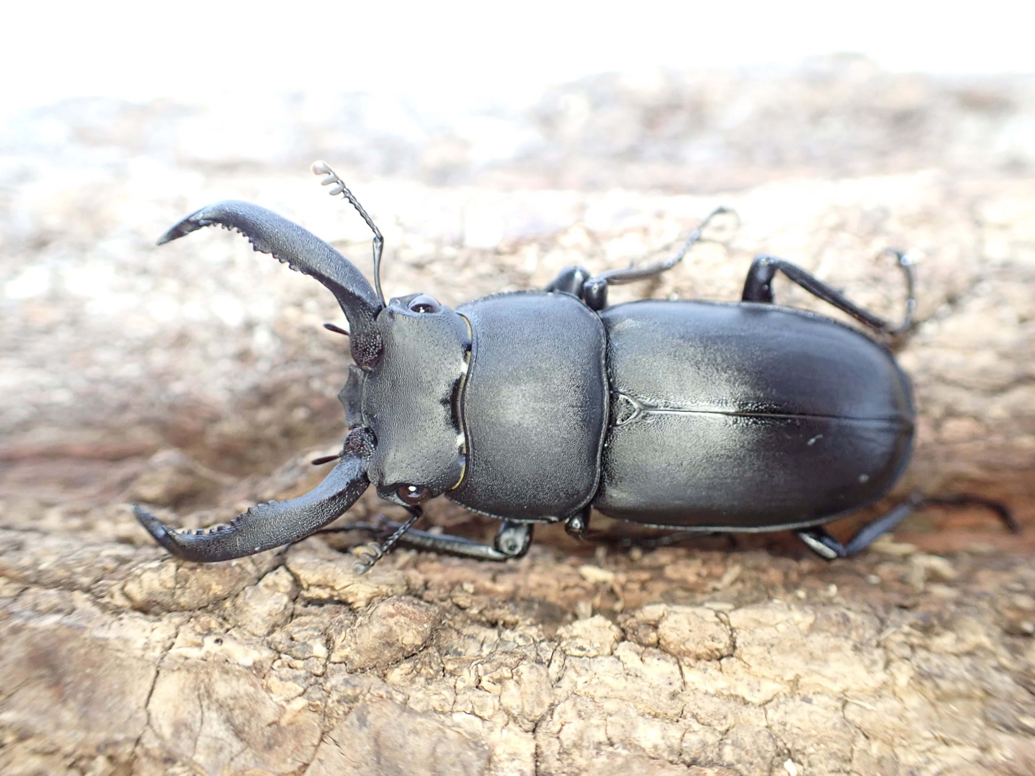 53440aaaffa766a04324ad808302f3